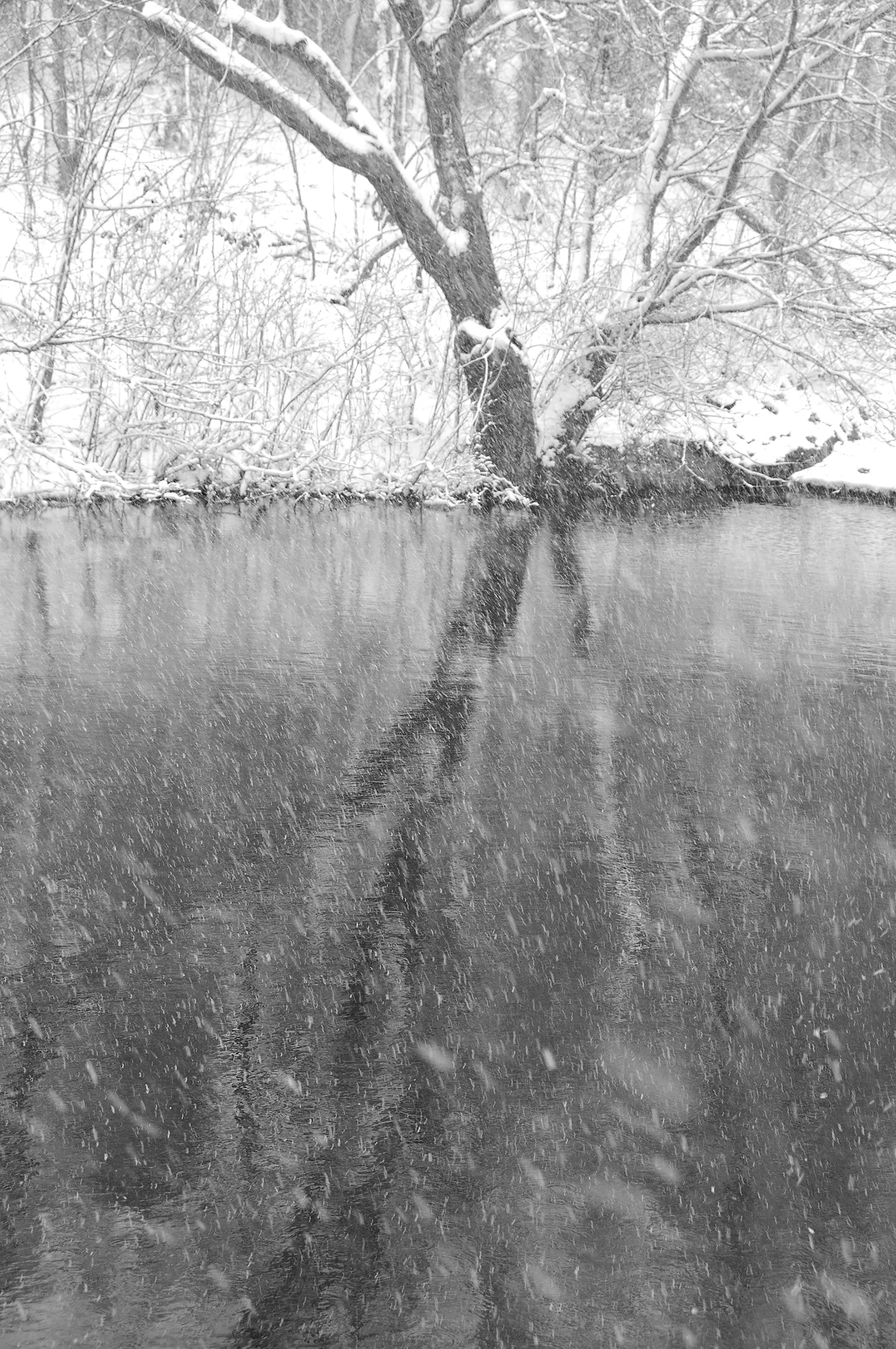 B and W landscape28.jpg