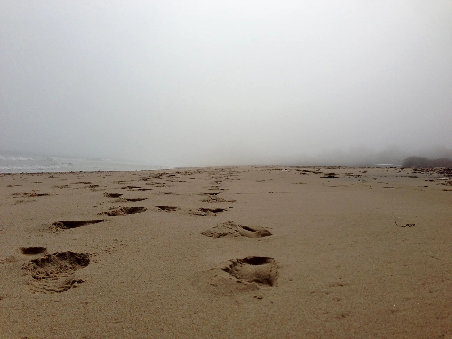 east beach footsteps 72DPI.jpg