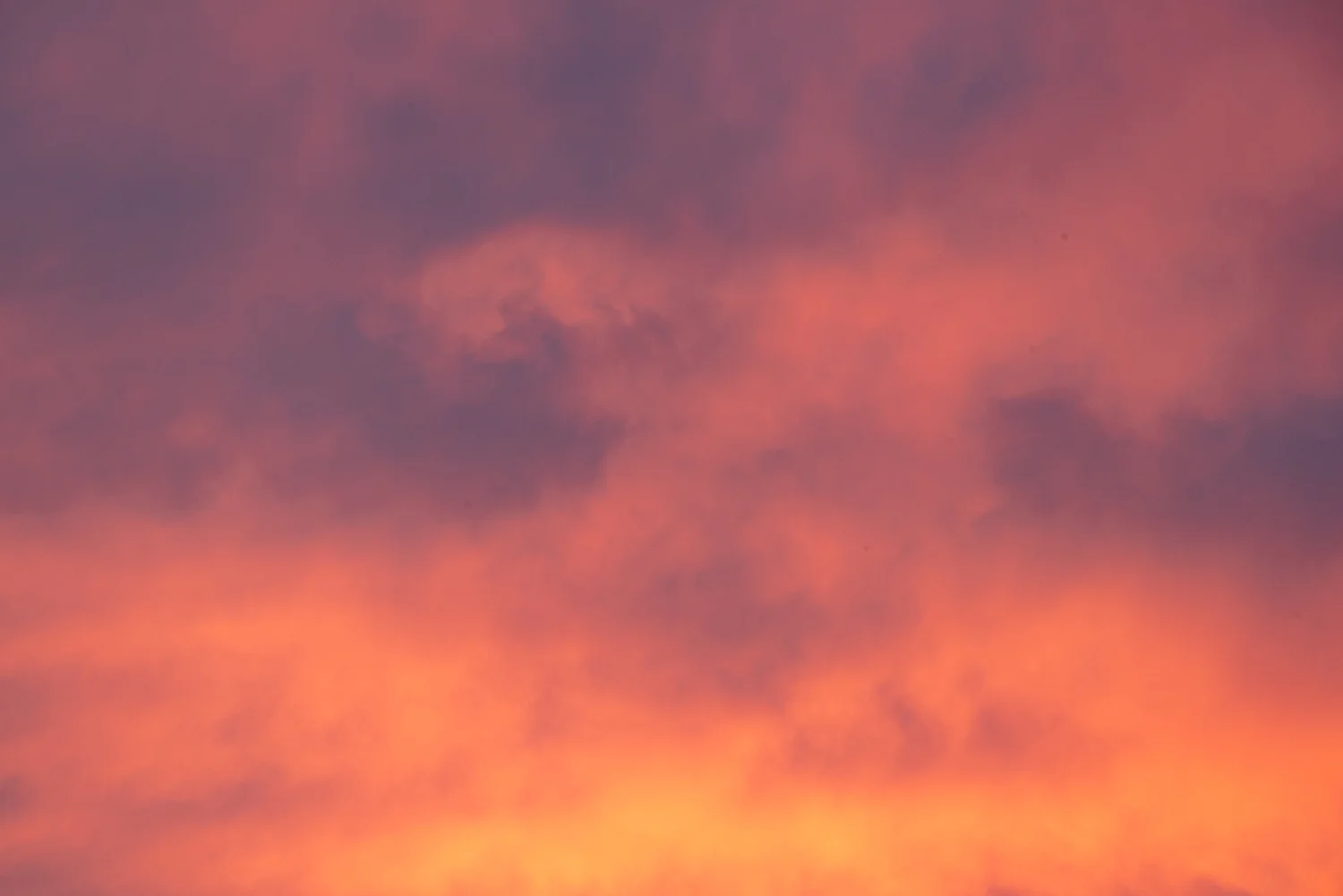 sunset72dp.jpg