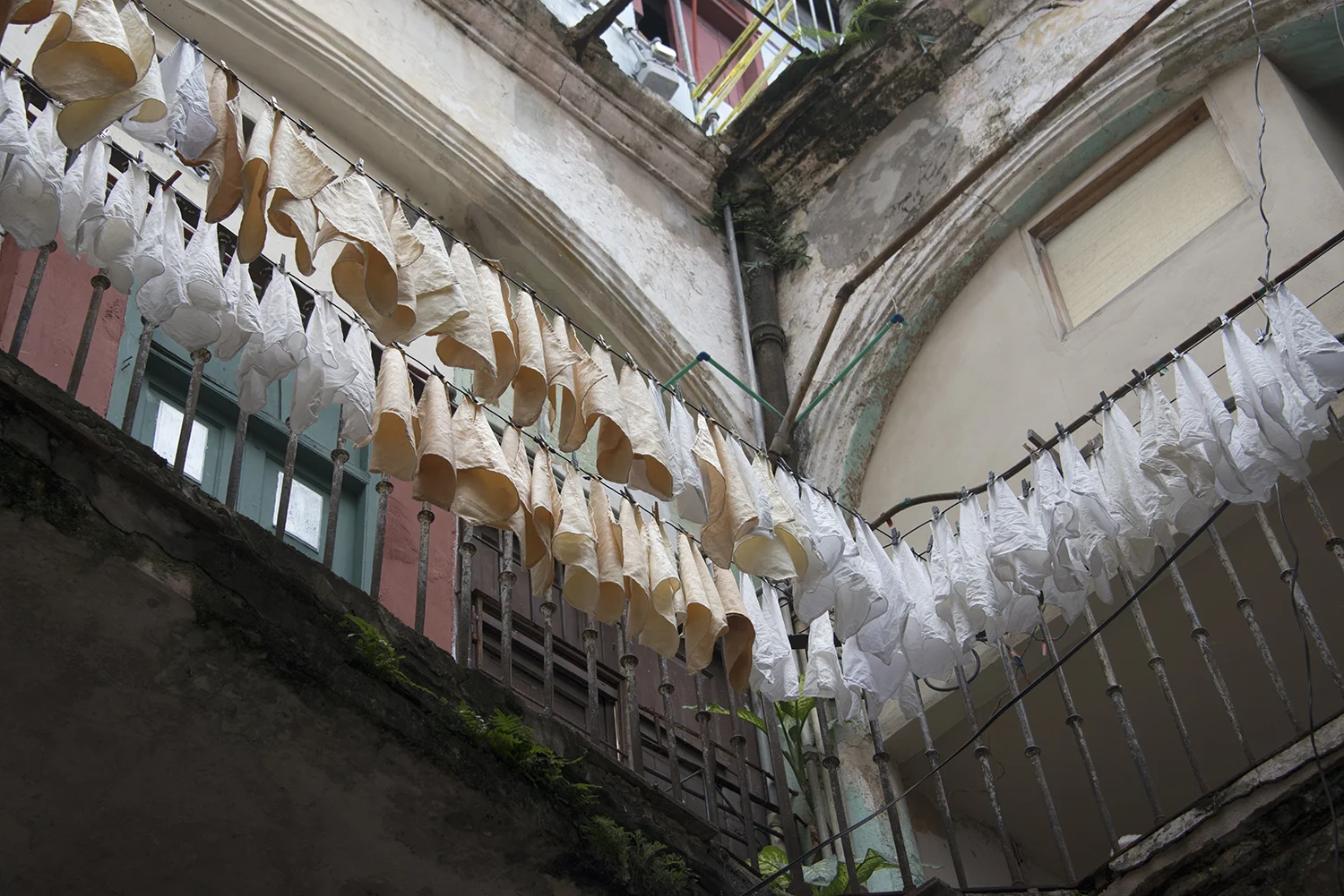 laundry day72dp.jpg