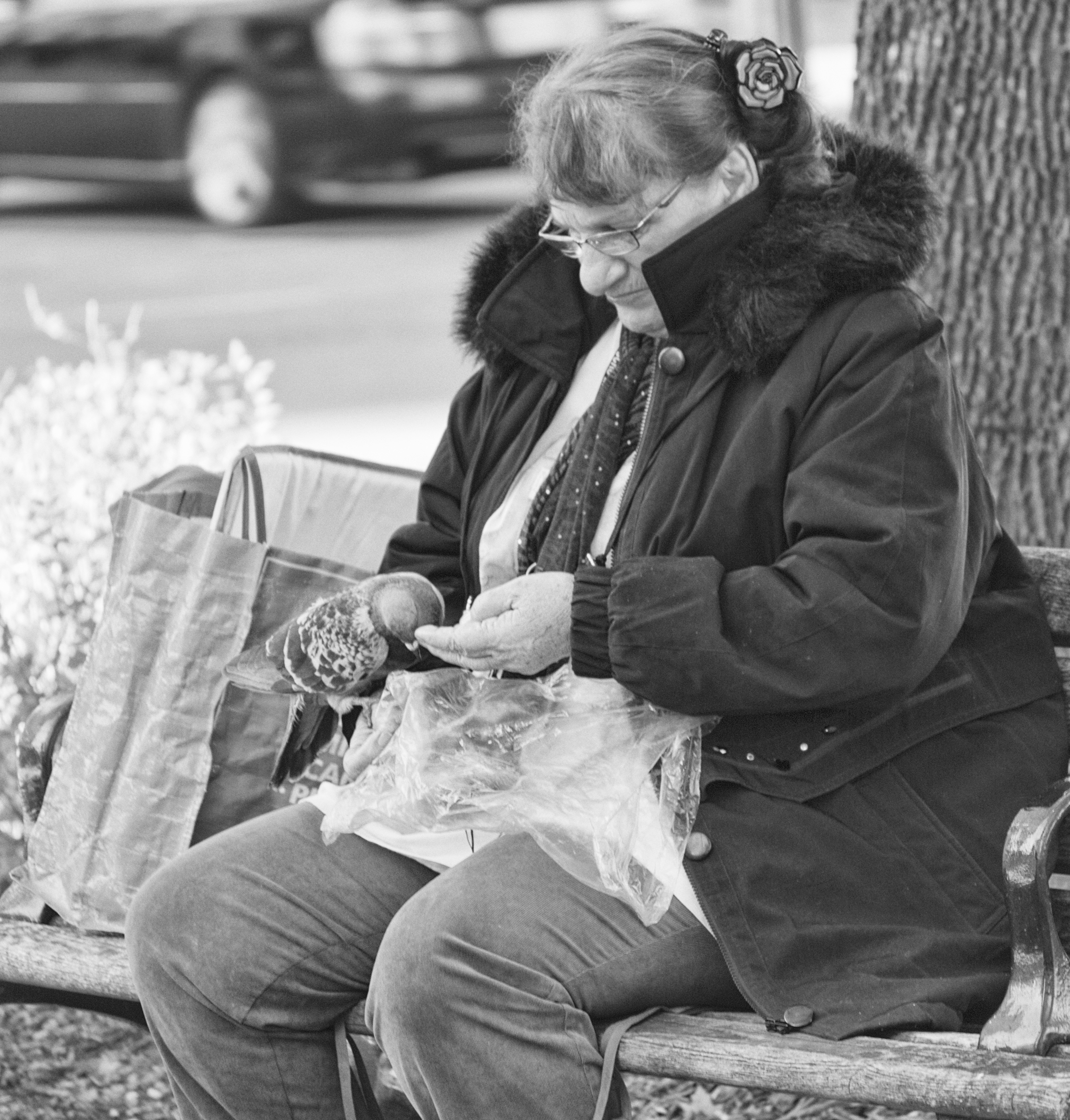 Woman and the Pigeons.jpg