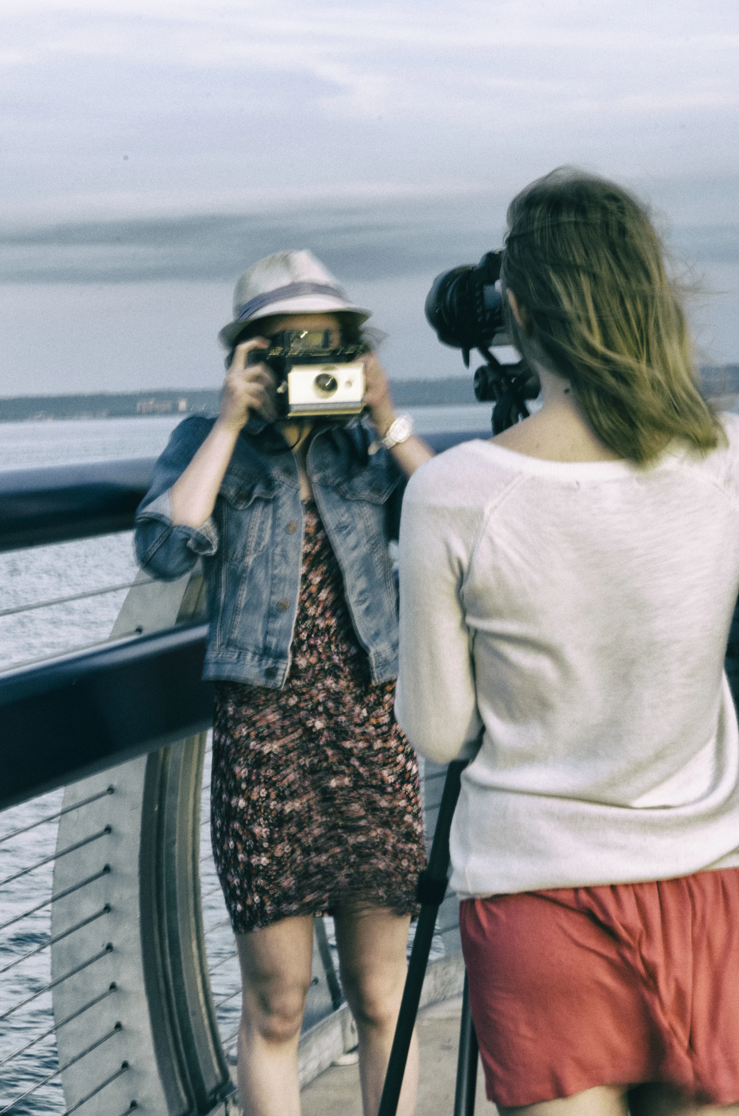 Poloroid