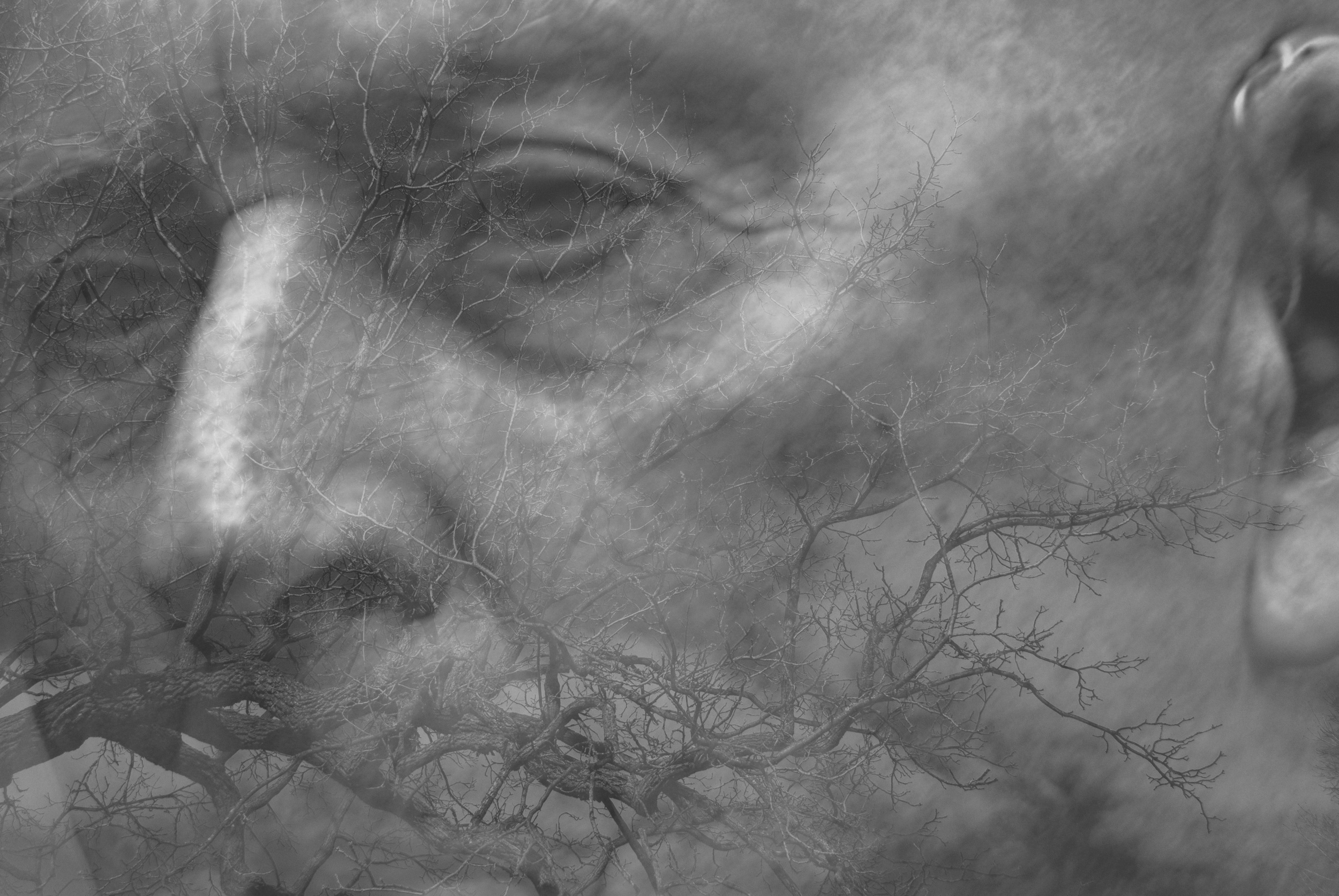 Lost In Composition # 3