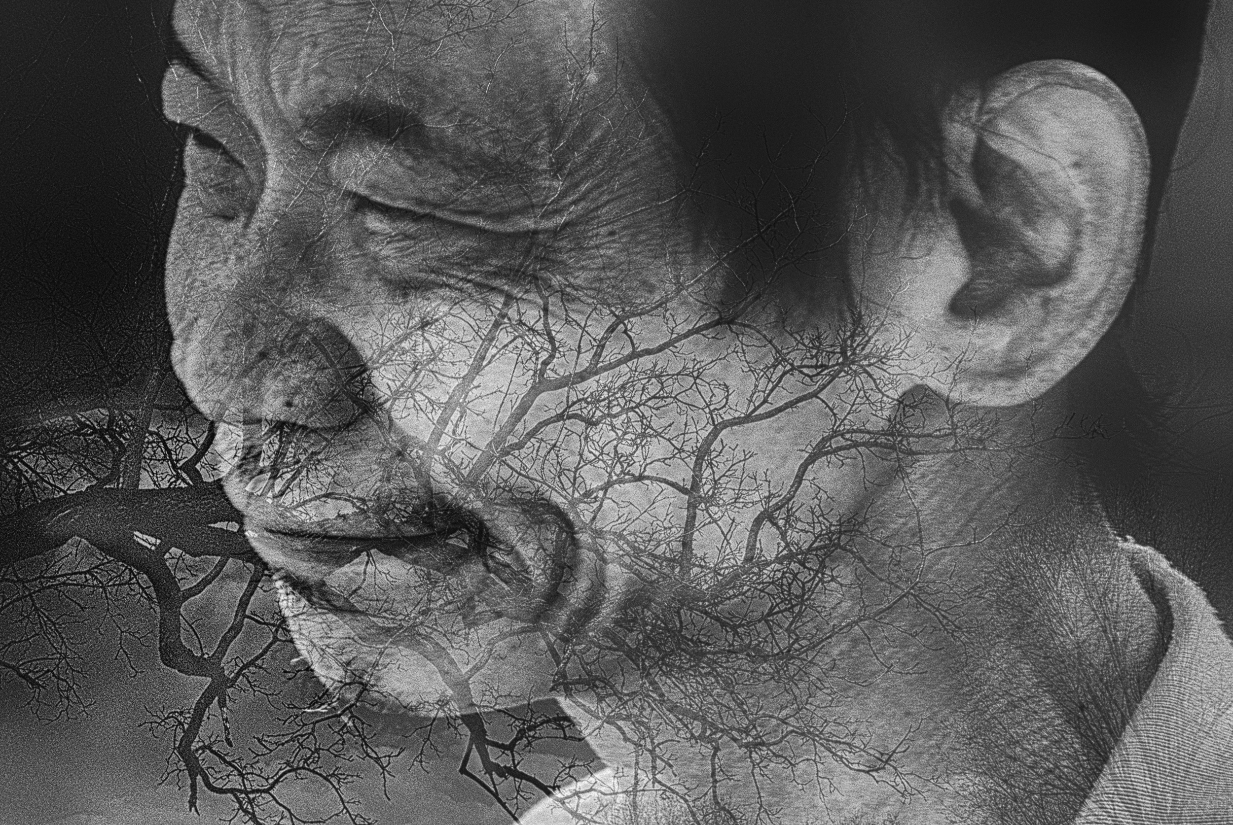 Lost In Composition # 7