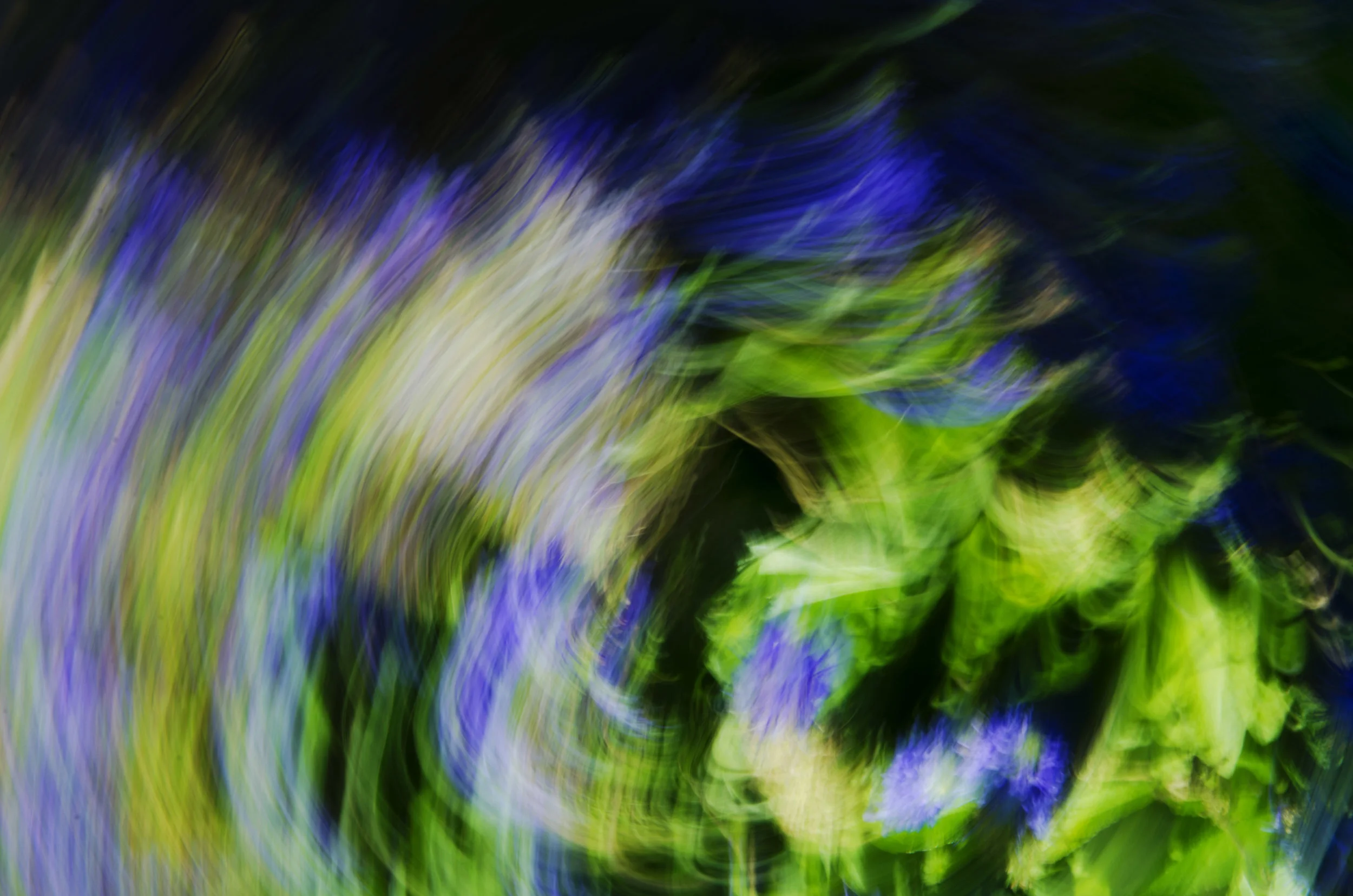 Chaos