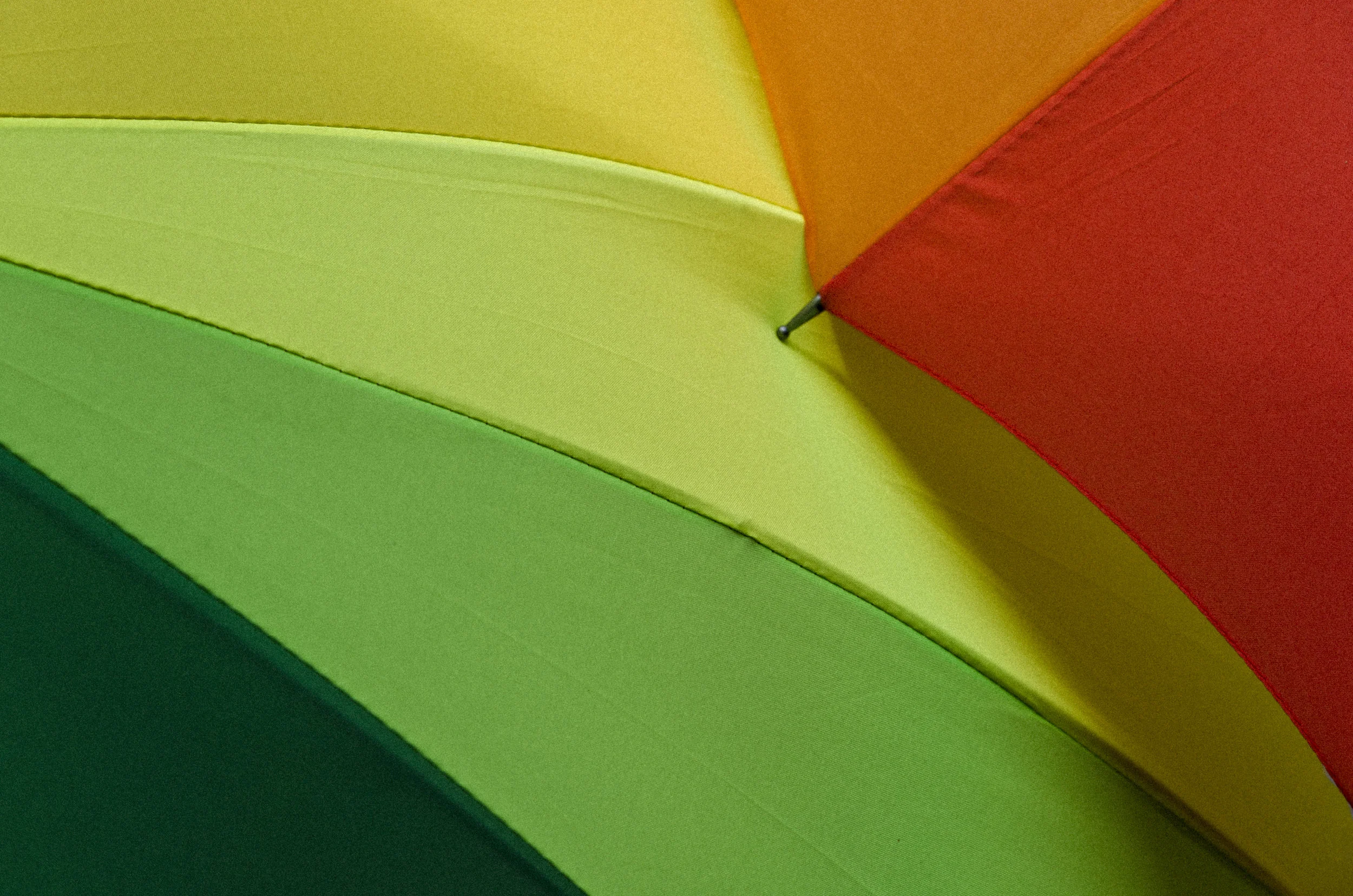 Umbrella Pride