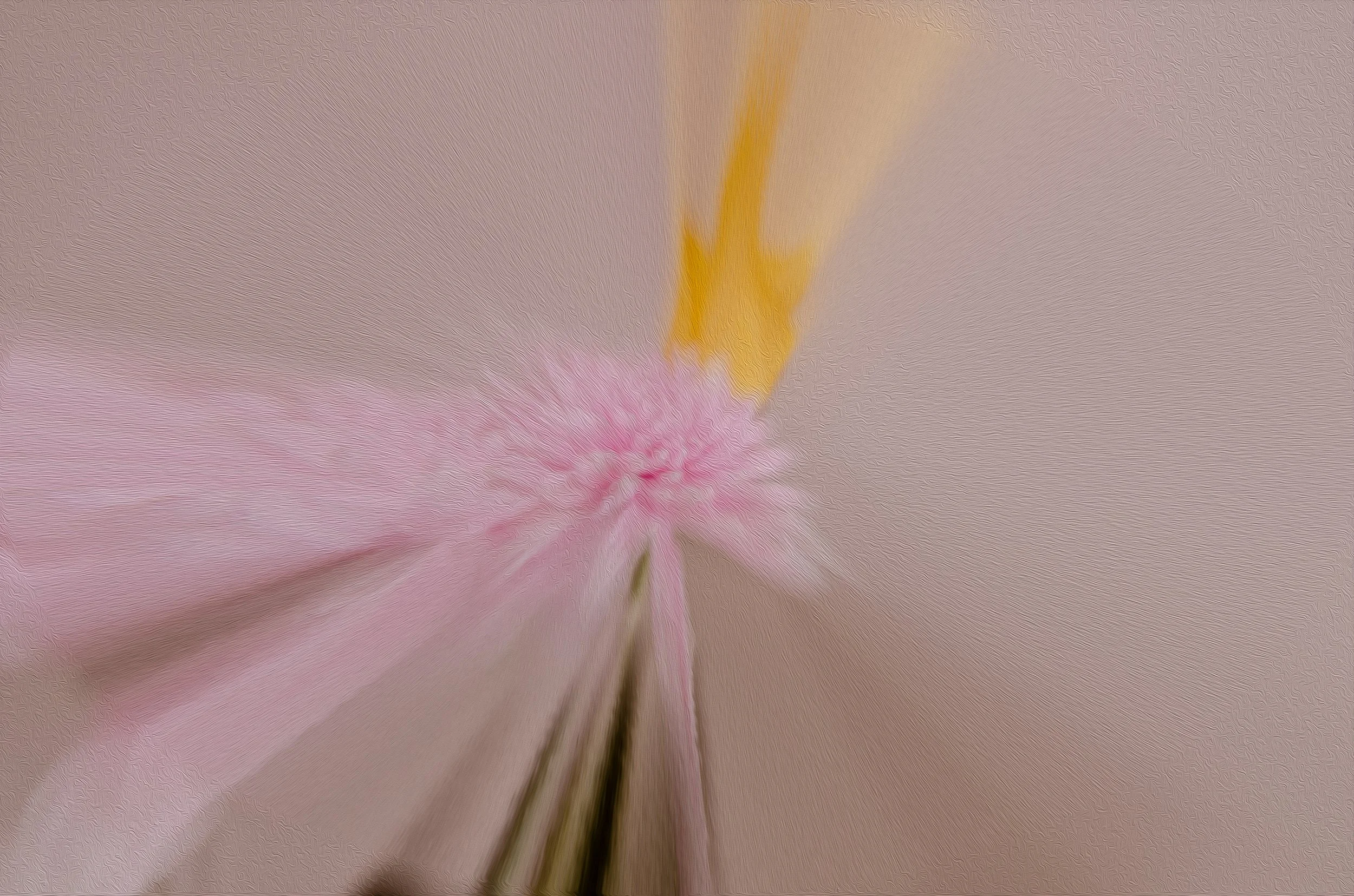 Minimalism In Pink.jpg