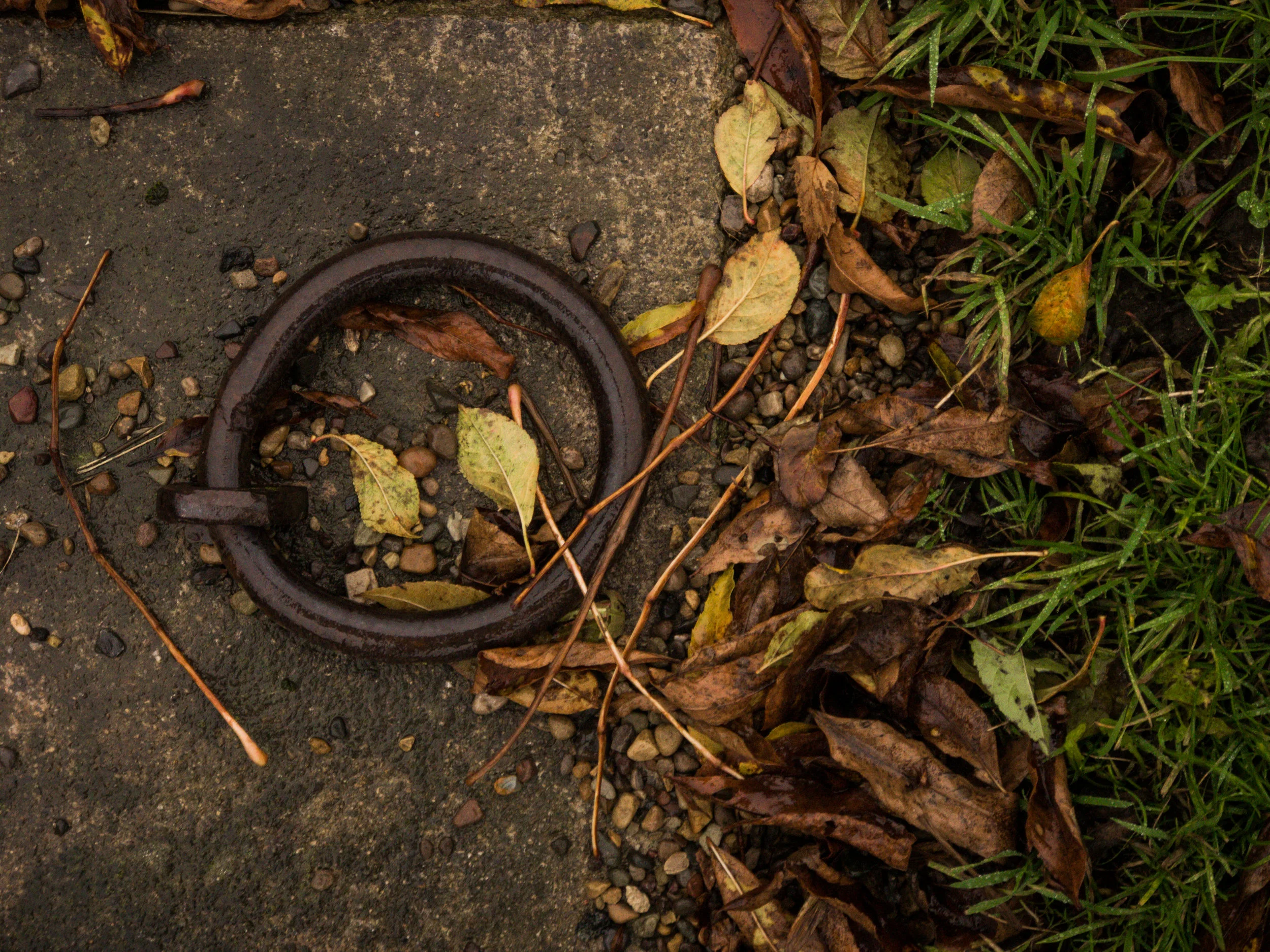 11 iPhone 7Plus Photos_Coloured-6.jpg