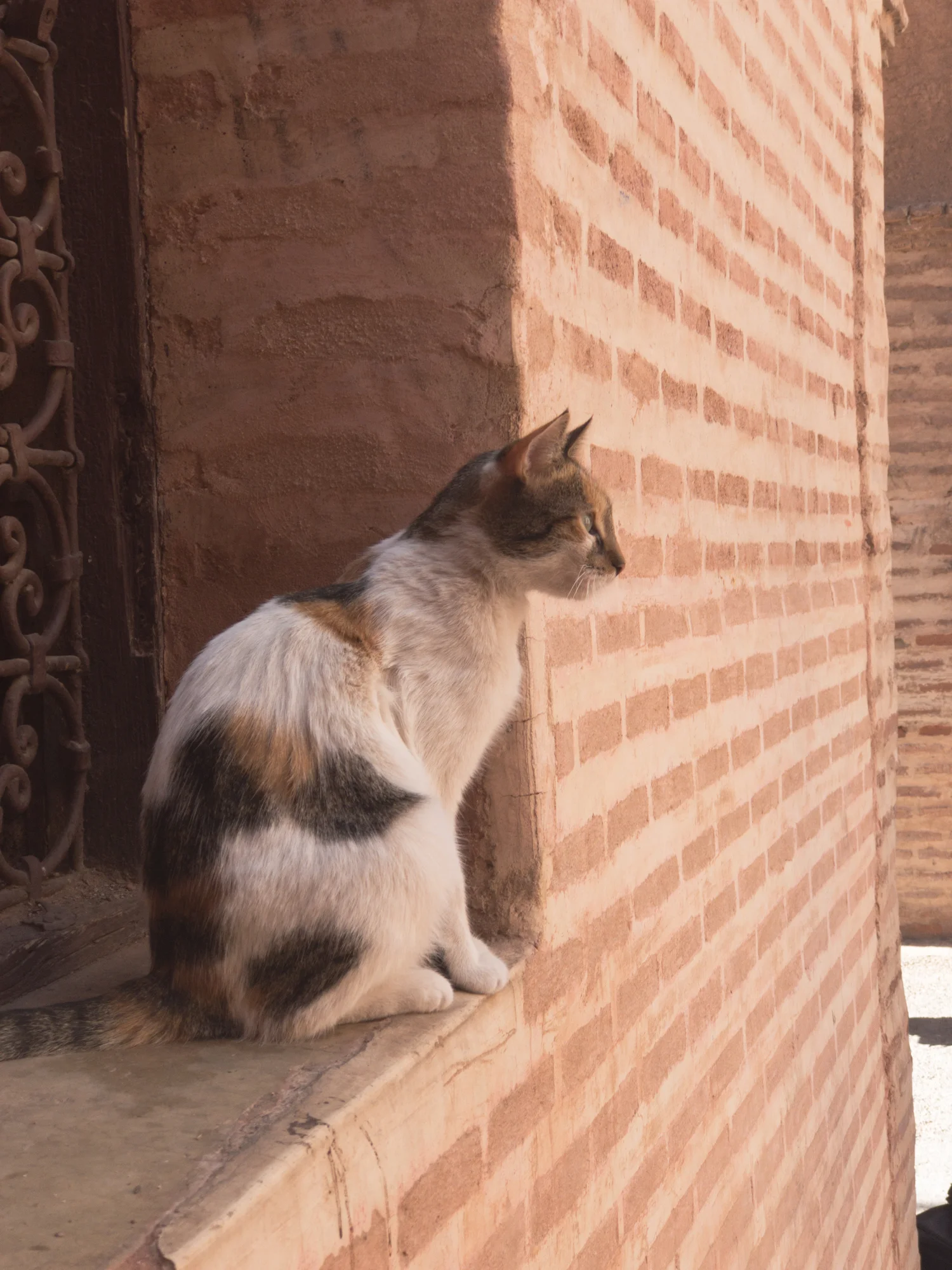 Marrakech_iPhone8+_Photos - Blog_Photos-15.jpg
