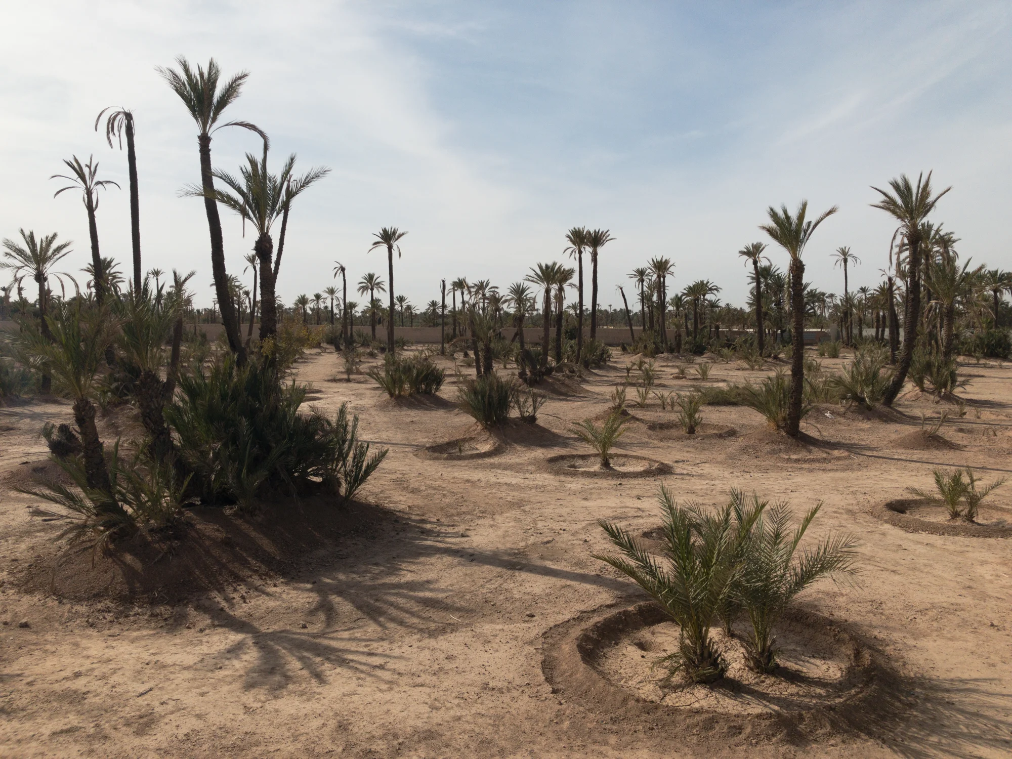 Marrakech_iPhone8+_Photos - Blog_Photos-43.jpg