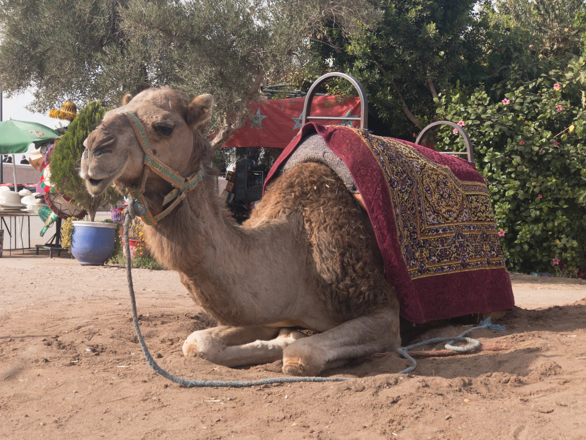Marrakech_iPhone8+_Photos - Blog_Photos-49.jpg