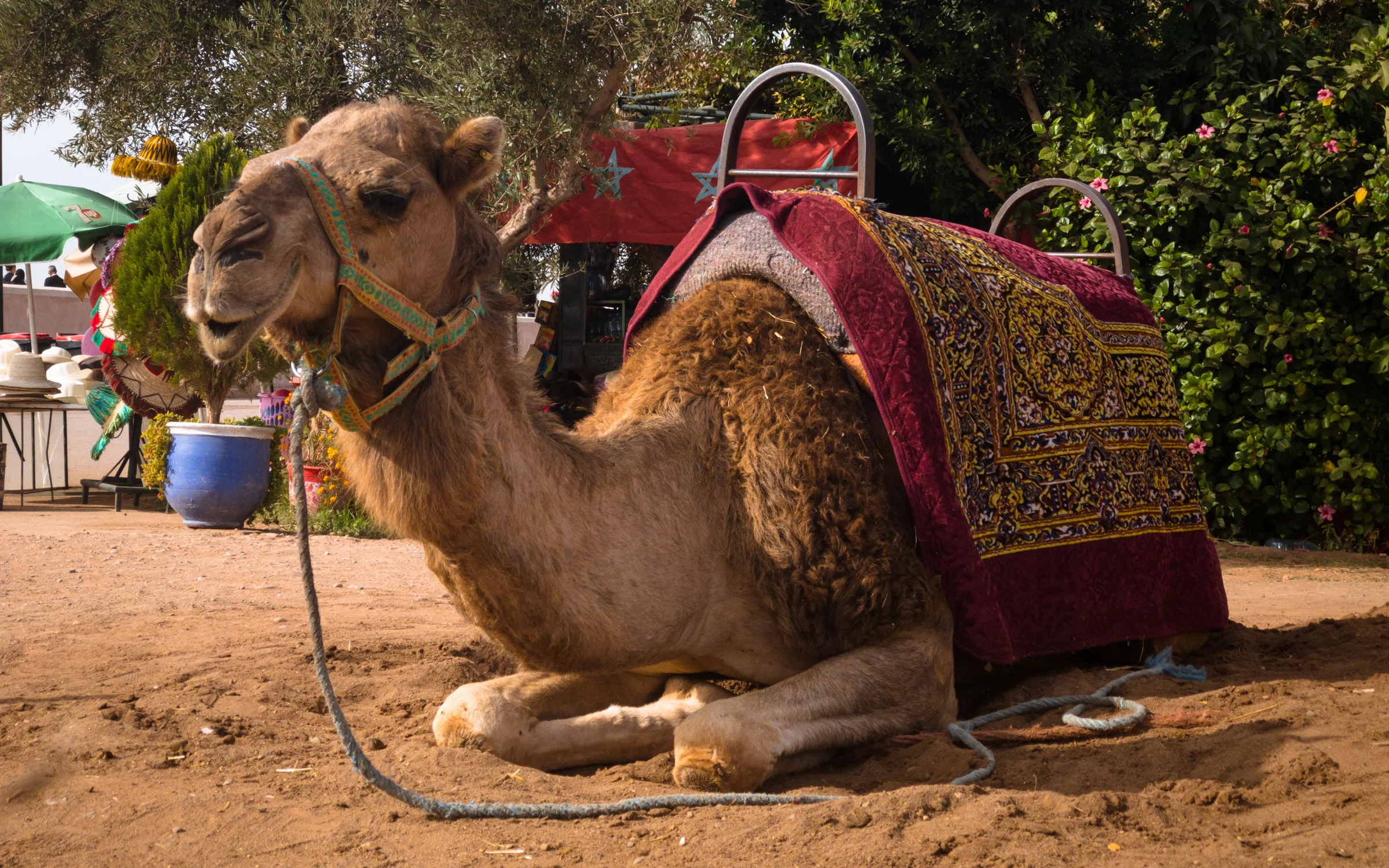 Marrakech_iPhone8+_Photos - Blog_Photos-50.jpg