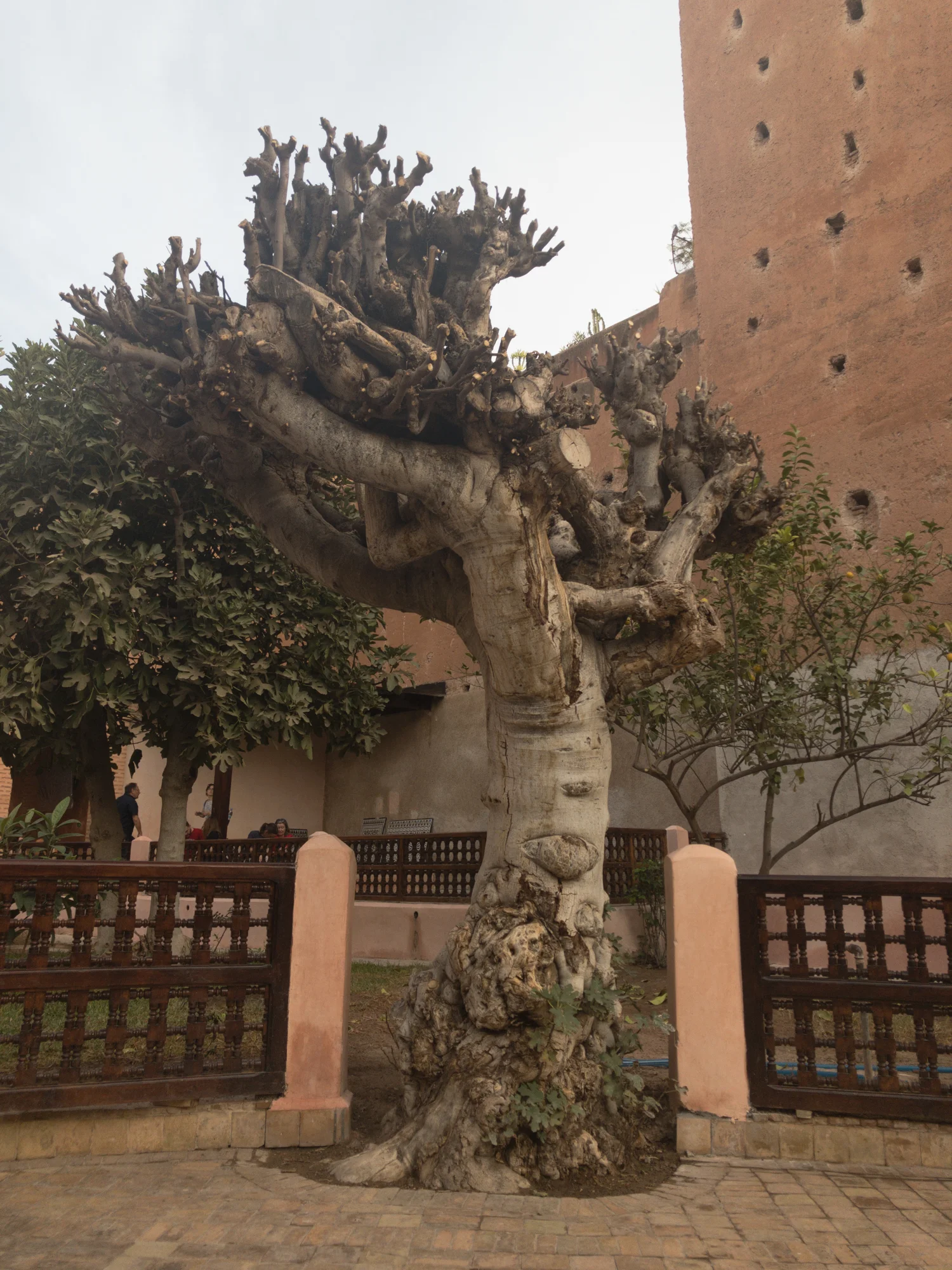 Marrakech_iPhone8+_Photos - Blog_Photos-57.jpg