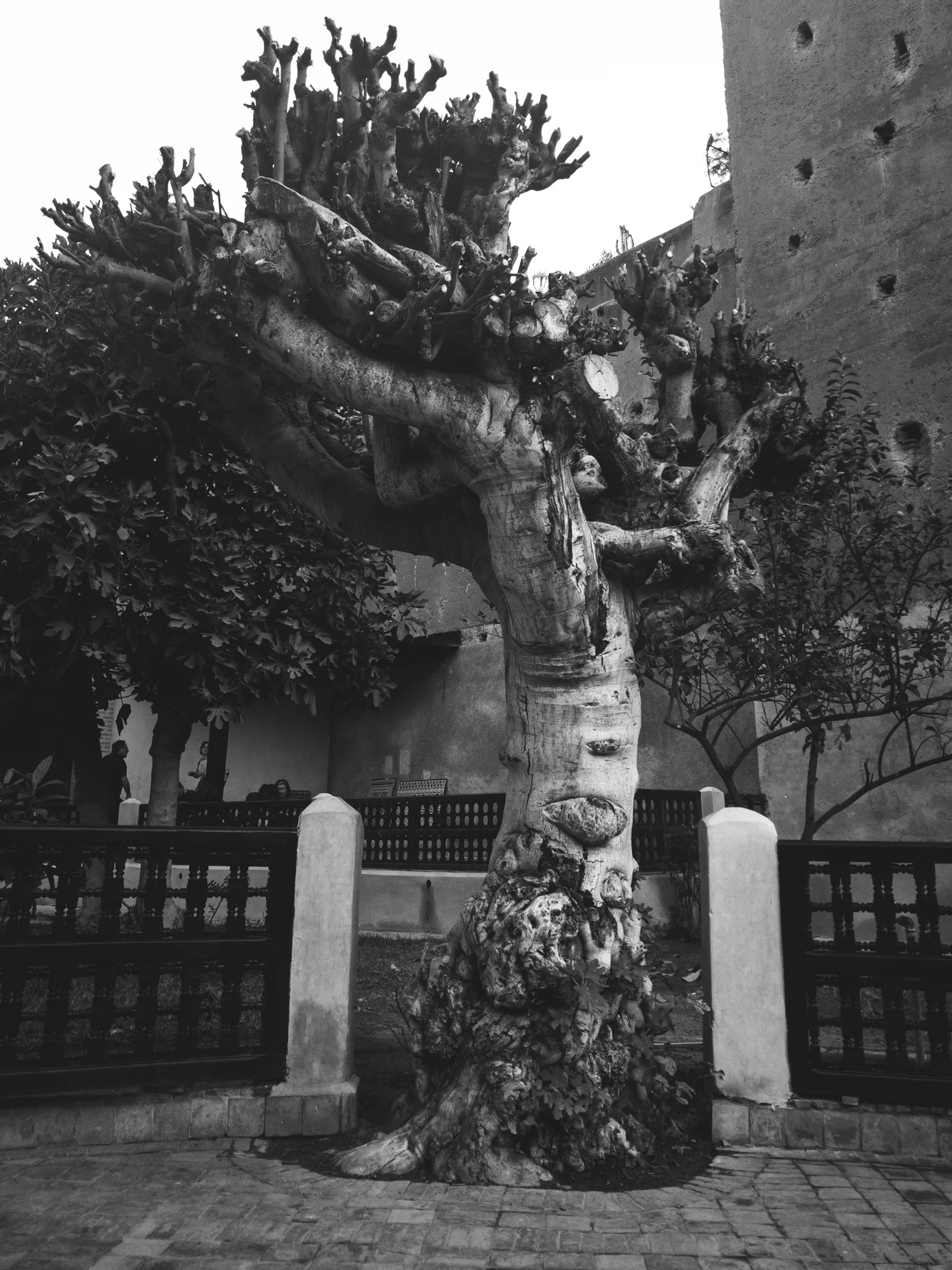 Marrakech_iPhone8+_Photos - Blog_Photos-59.jpg