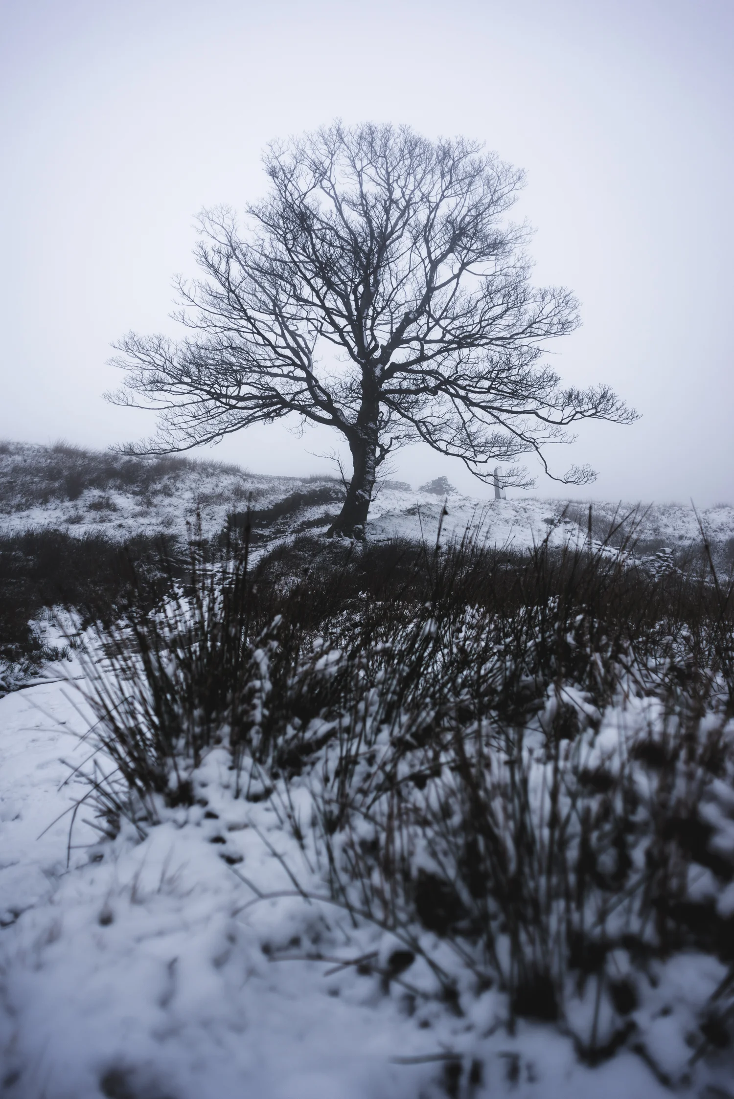 Howarth Walk-9.jpg