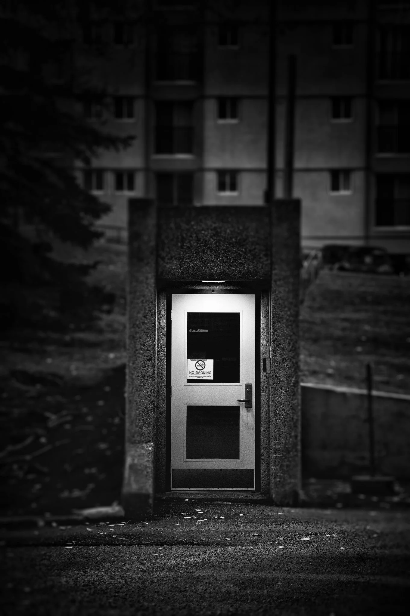 30540062931_51fd37521d_k.jpg