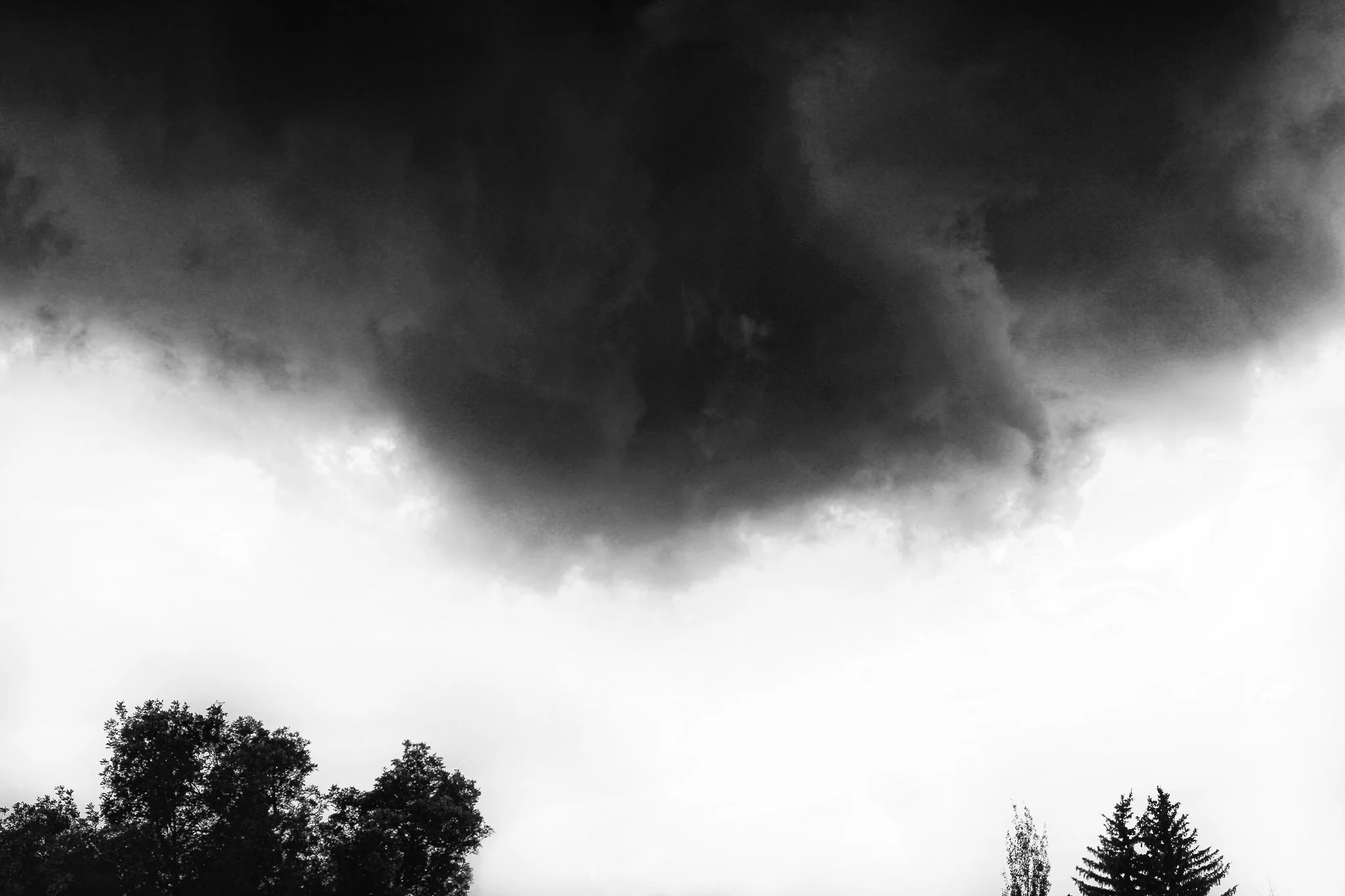 28377729956_5664faf31e_k.jpg