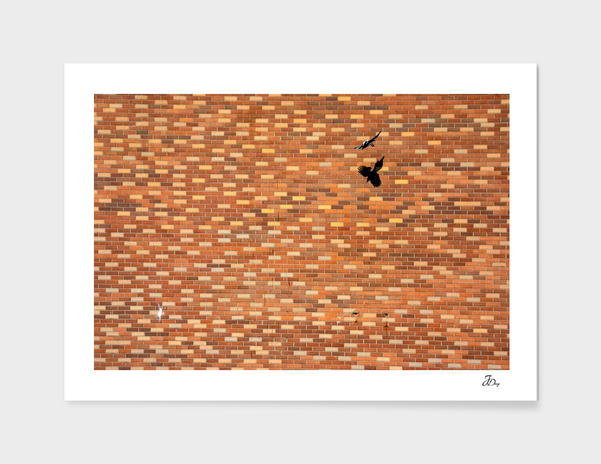 Magpie & Bricks...