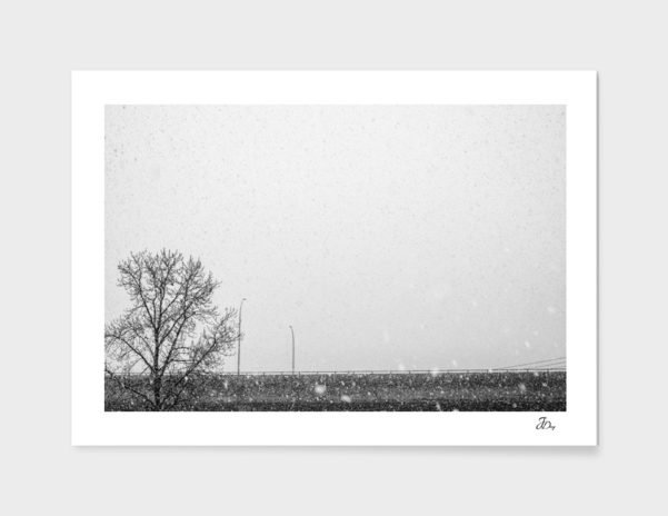 Tree, Bridge, Snow...