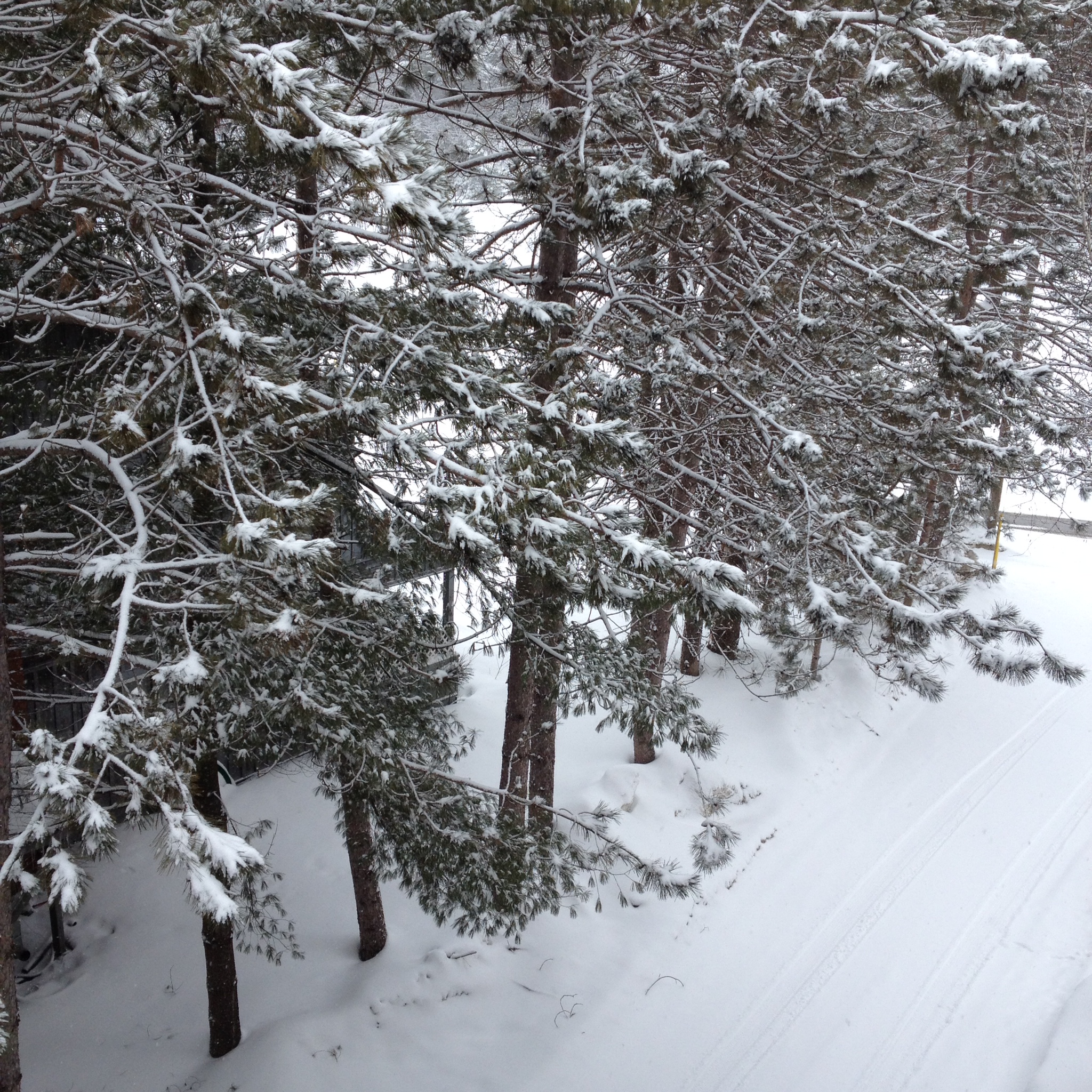 The view from my apartment deck this morning. If you squint you can see the edge of the Muskoka River melting.