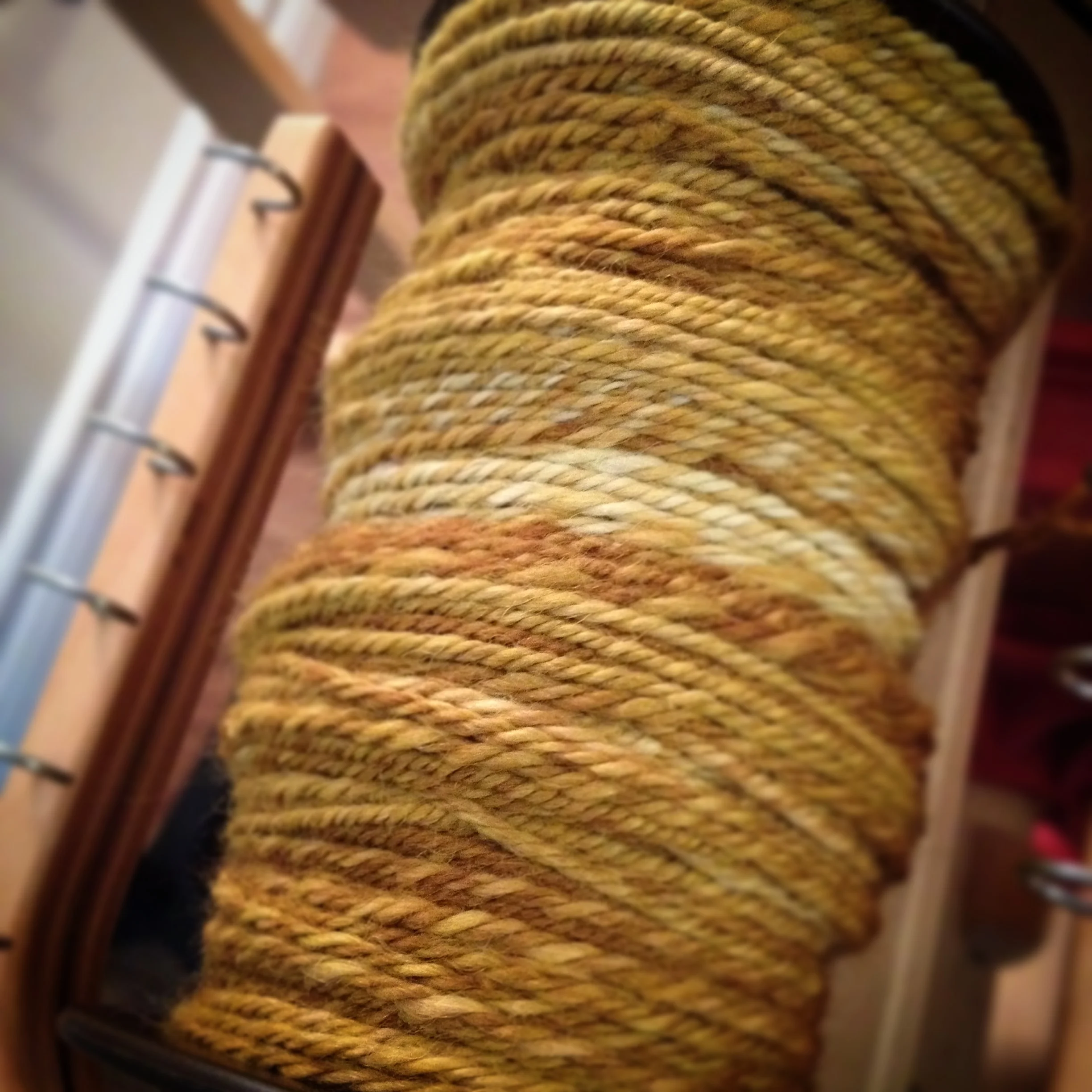 I finished spinning the singles and plied some Georgian Bay Fibre Co. Hennessy Combed Top in Franklin Island Lichen