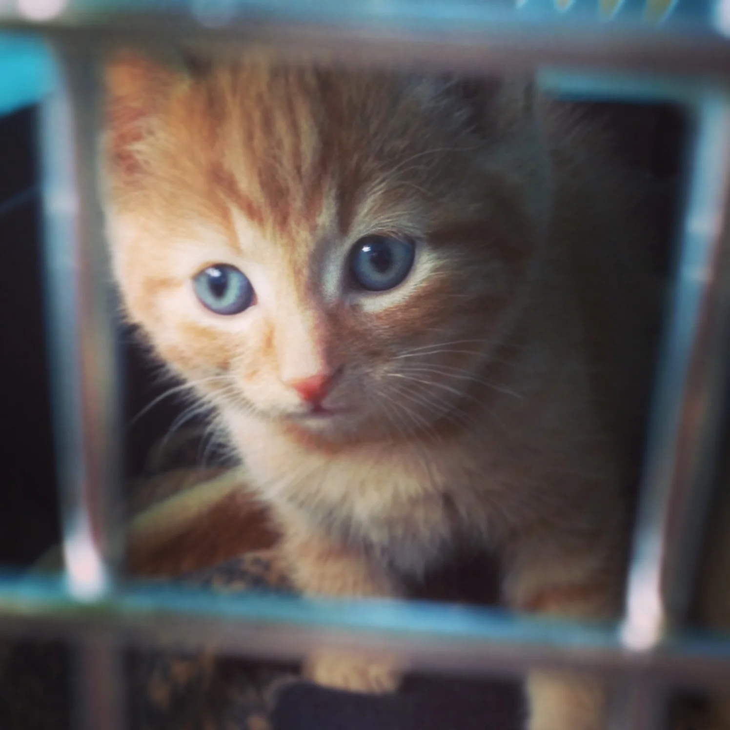 On our trip home a year ago!
