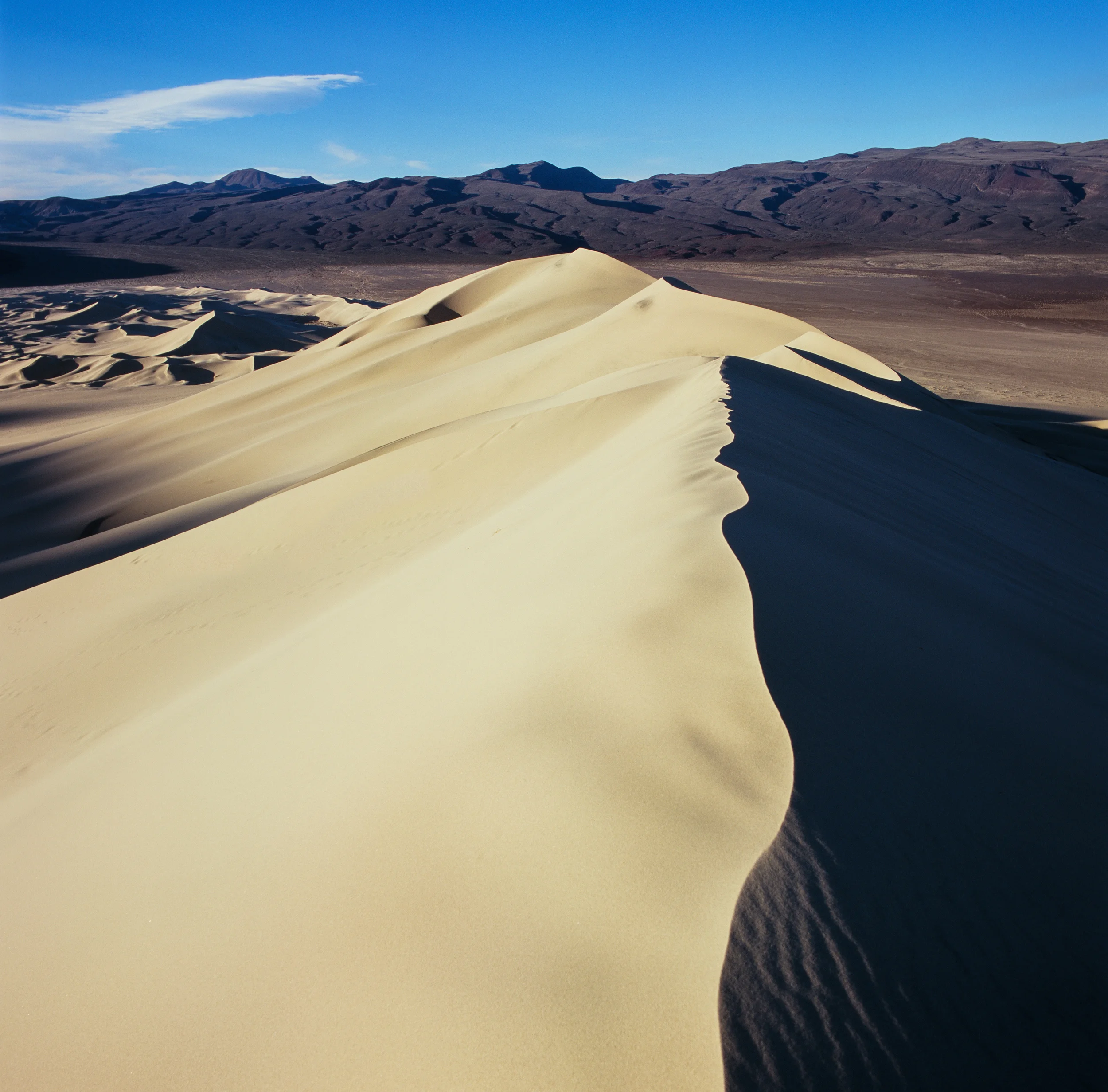 Eureka Dunes // Death Valley National Park, CA // 120mm Film // 2014