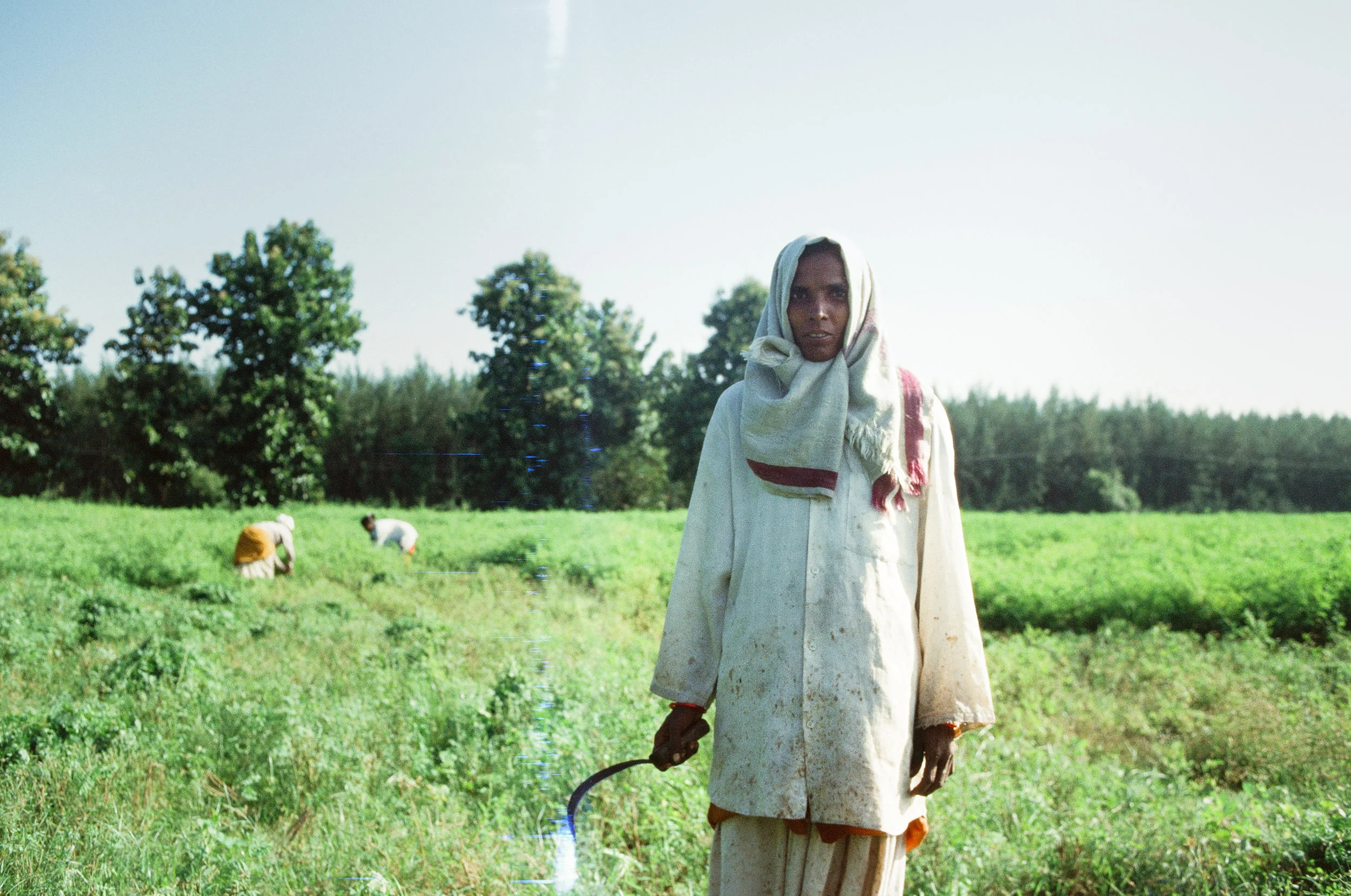 12_India_IndigoFarmer_Puducherry2012.jpg