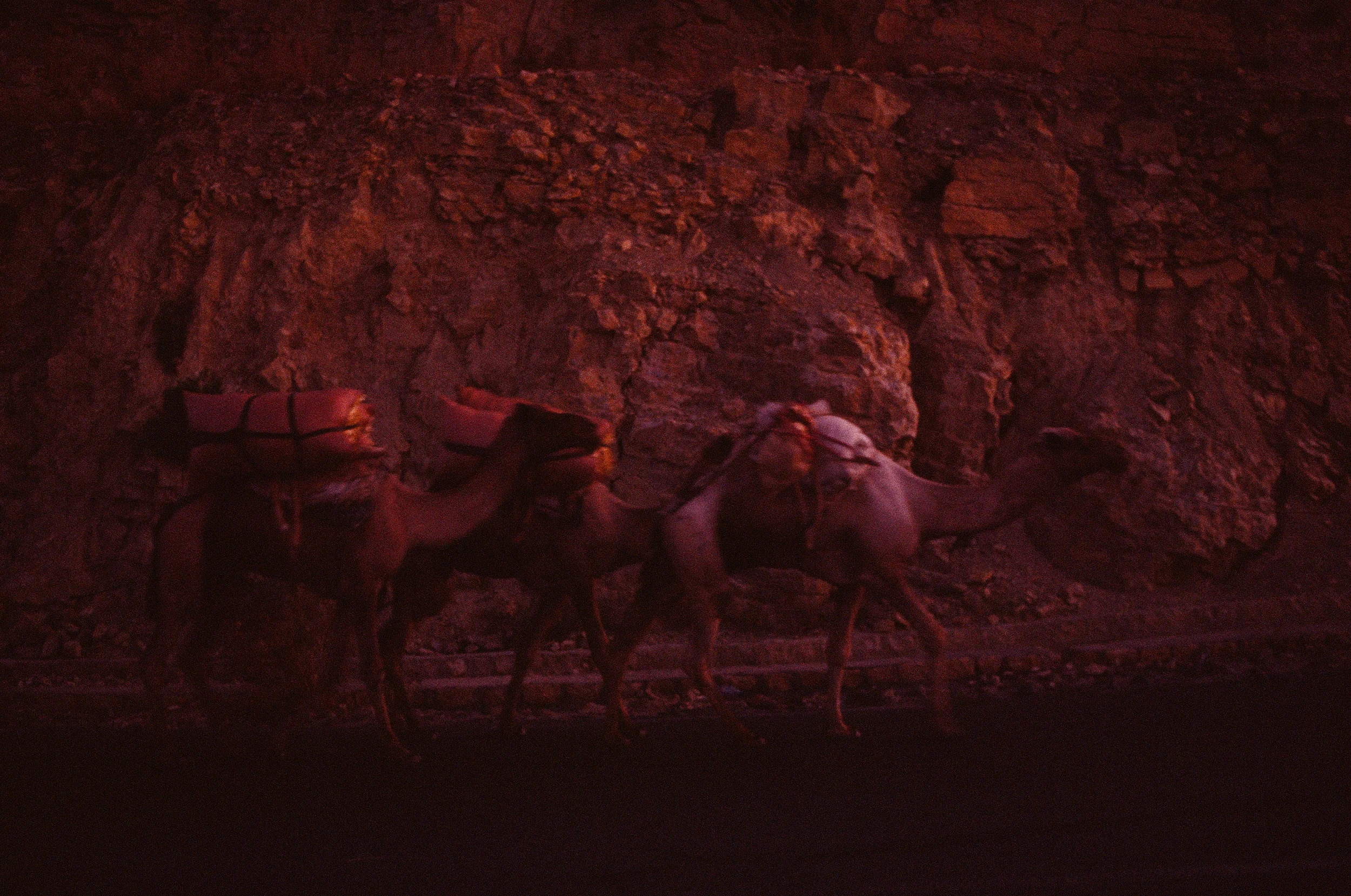 12Ethiopia_2011.jpg