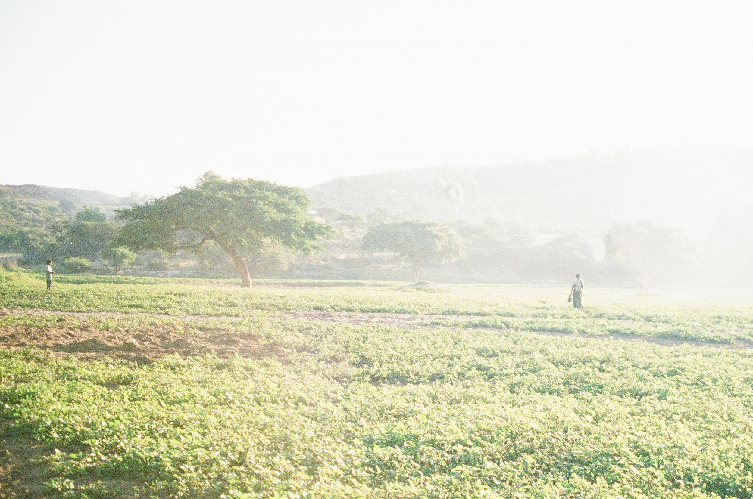 21Ethiopia_2011.jpg