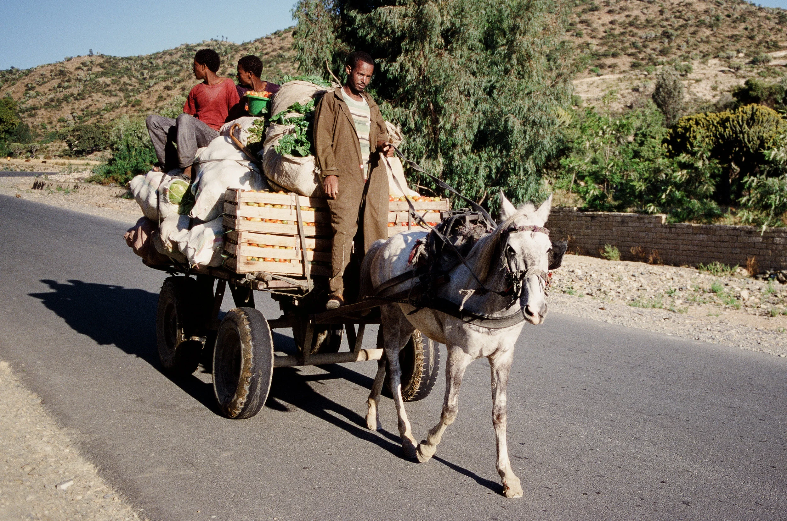 25Ethiopia_2011.jpg