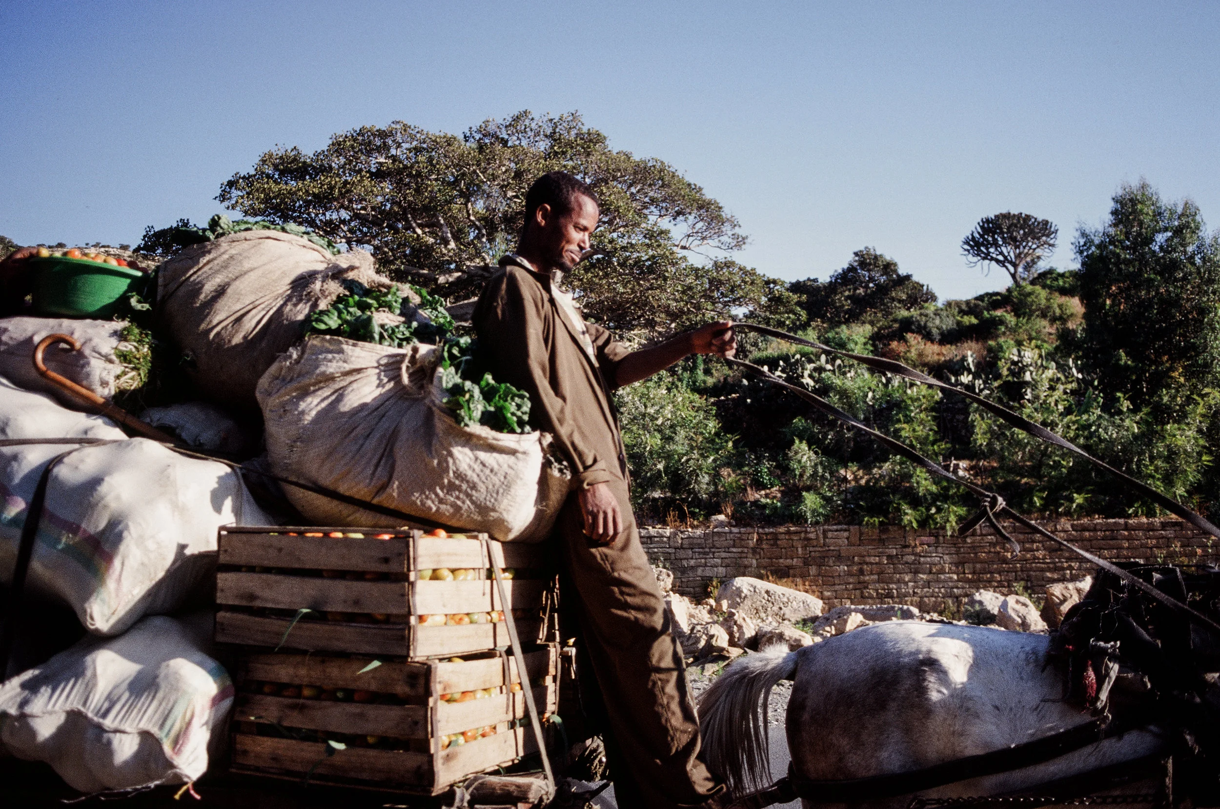 26Ethiopia_2011.jpg