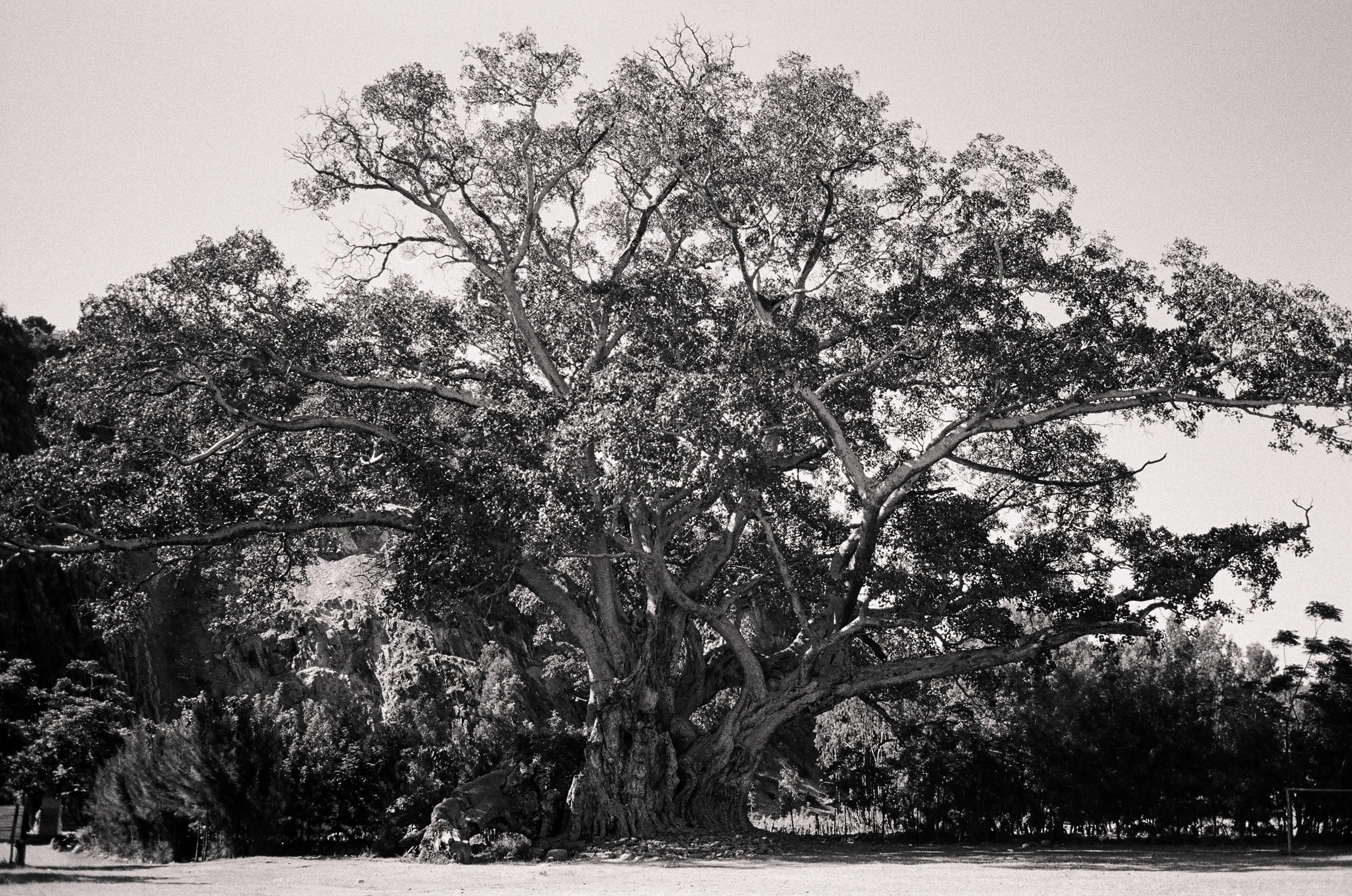 30Ethiopia_2011.jpg