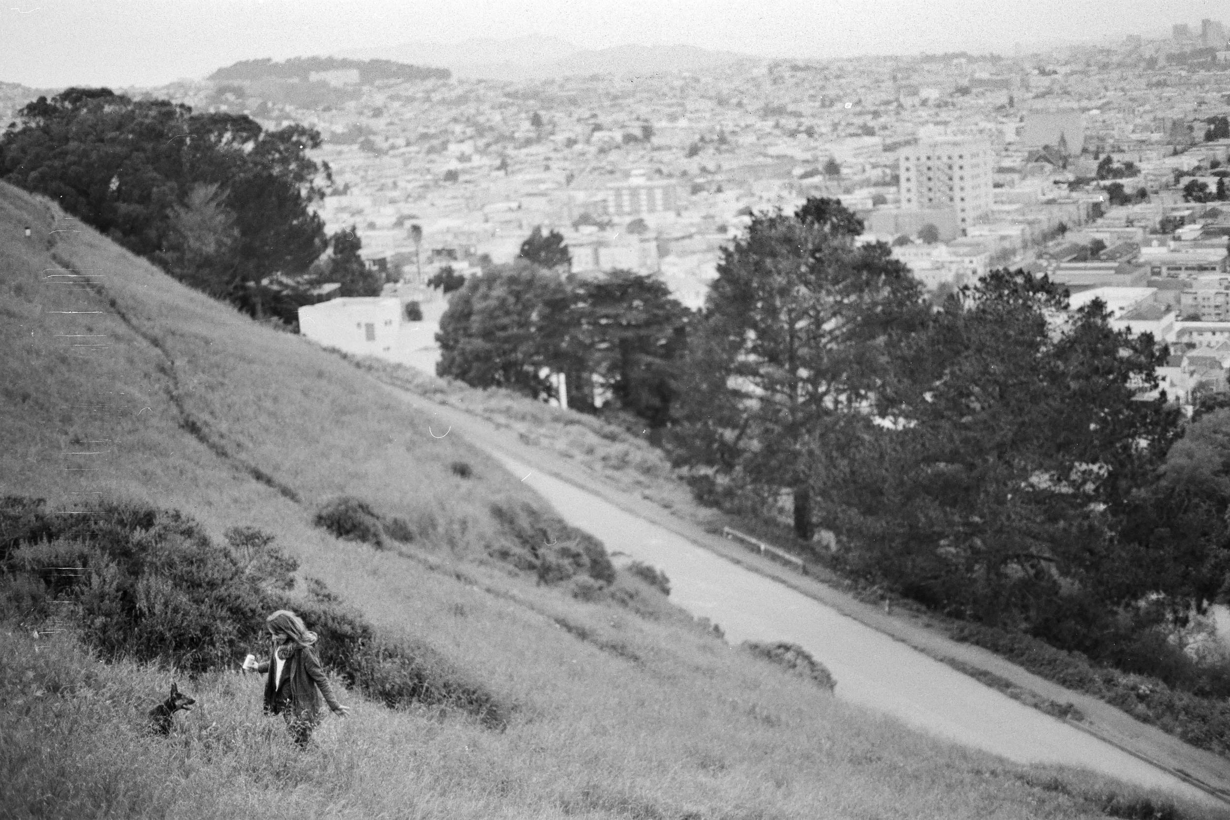19SanFrancisco_CMPRSD_2012to2016.jpg
