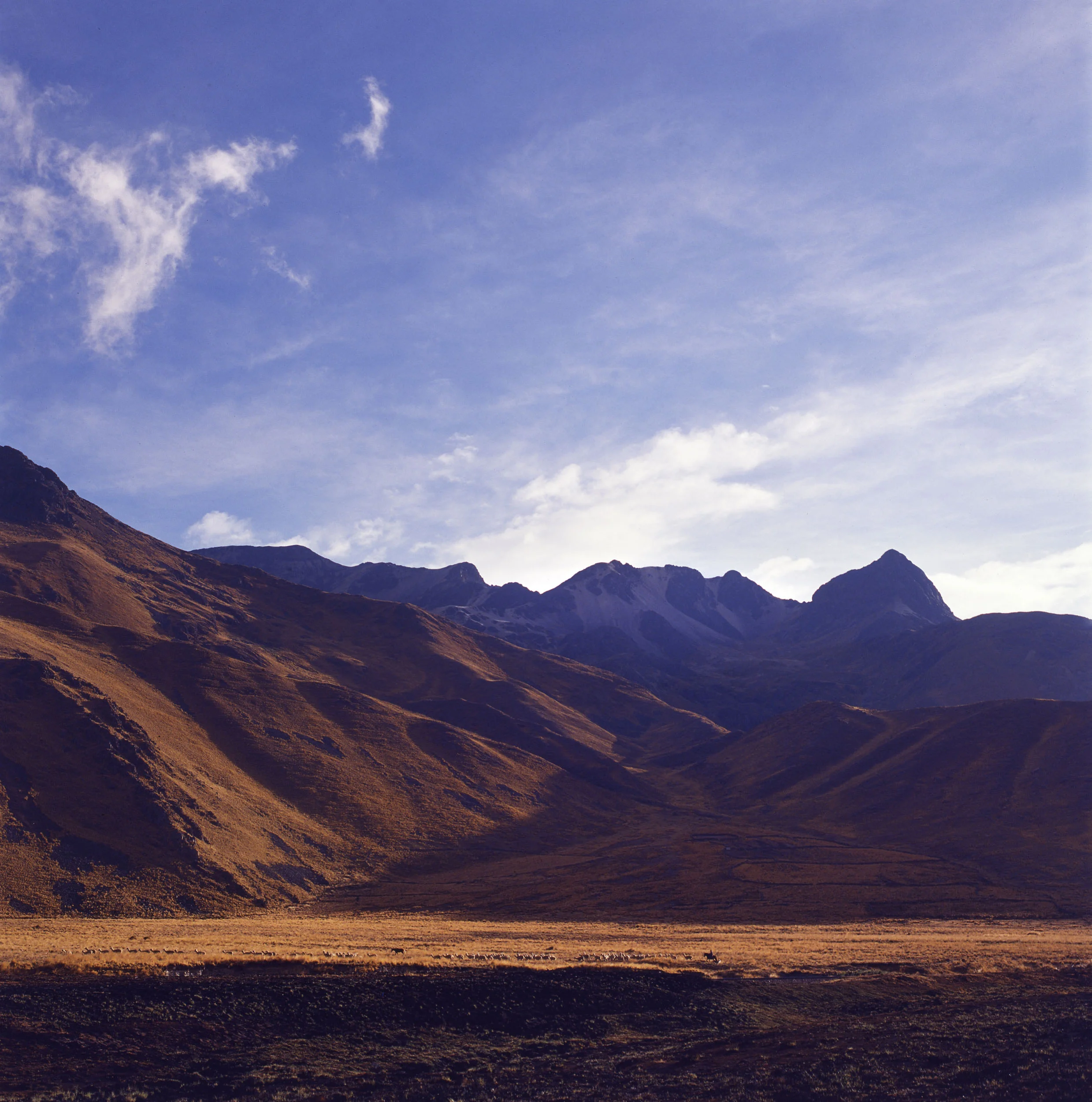 Gauchos Herding Llamas // Cordillera de los Andes, Peru // 120mm Film // 2013