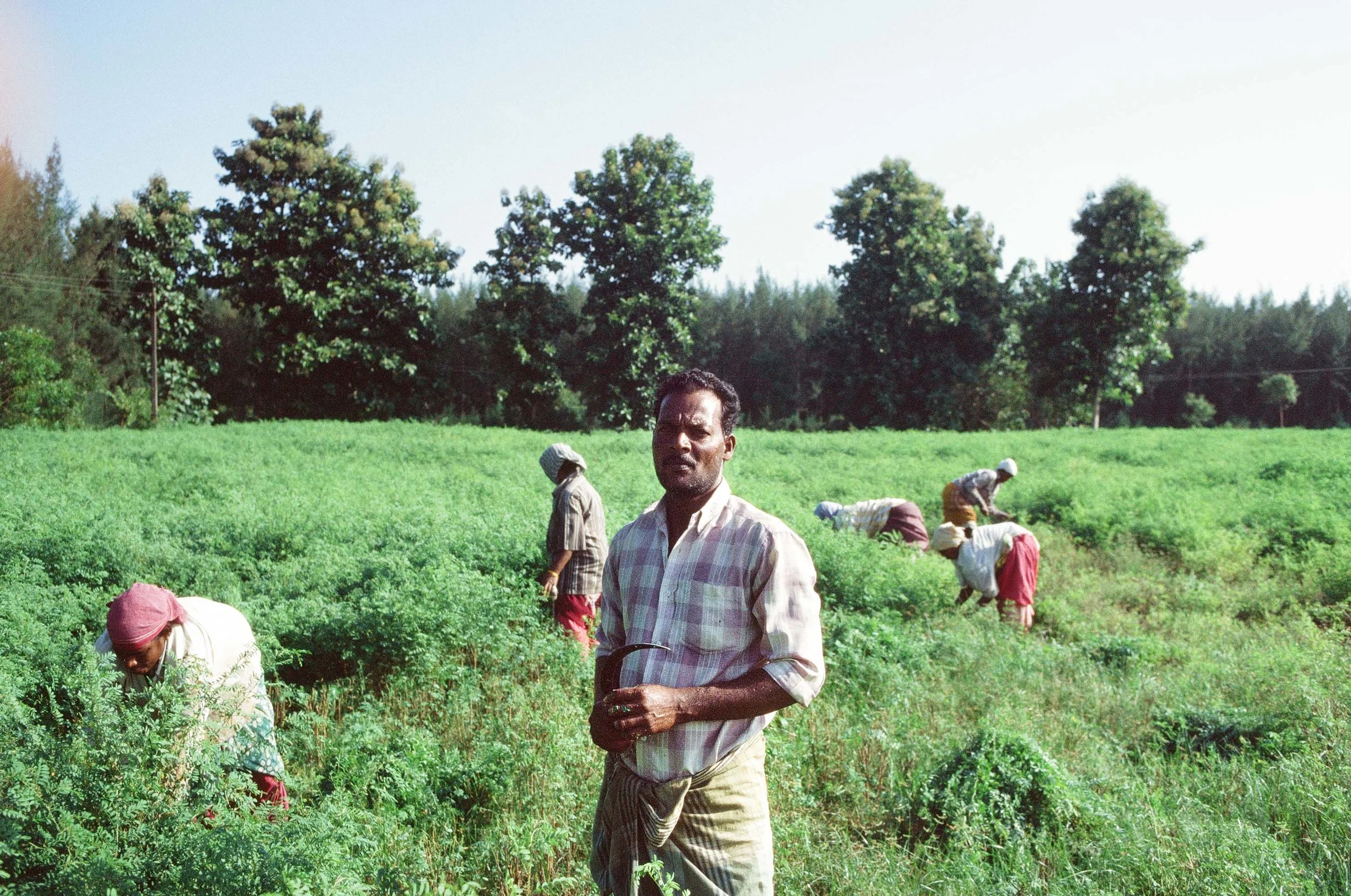 46_IndiaRajasthan+Chennai_2012-5.jpg