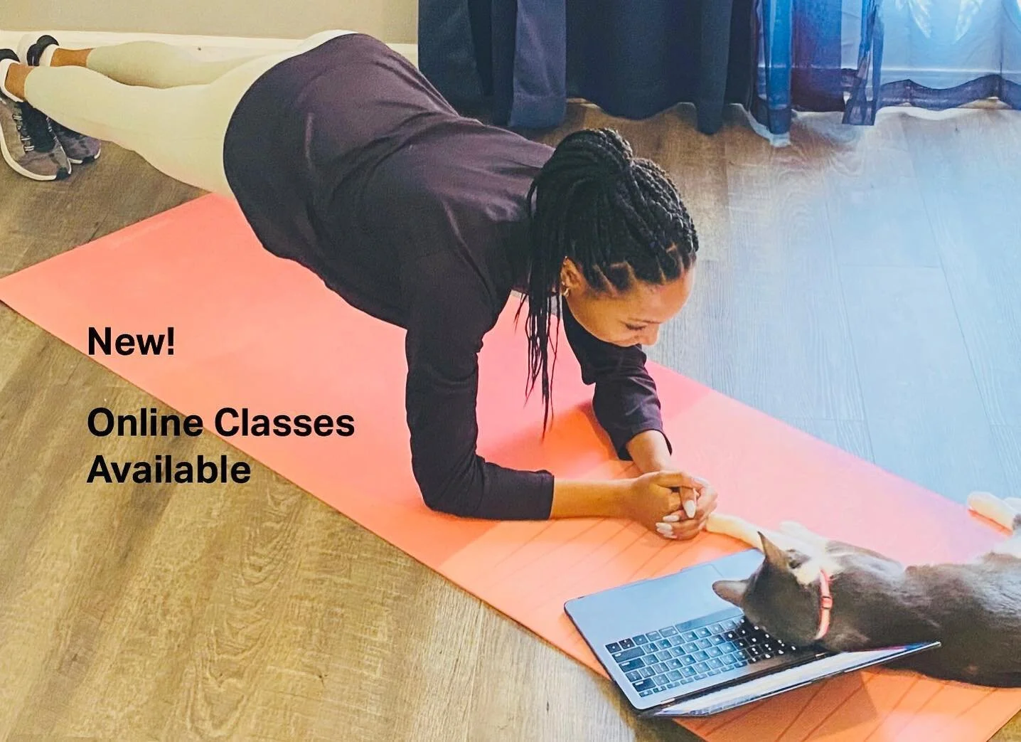 Try our classes from the comfort of home. Pets welcome of course!  #FitnessDc #FitnessLifestyle #FitnessAddict #DCFitness #MentalHealth #GeorgetownDC