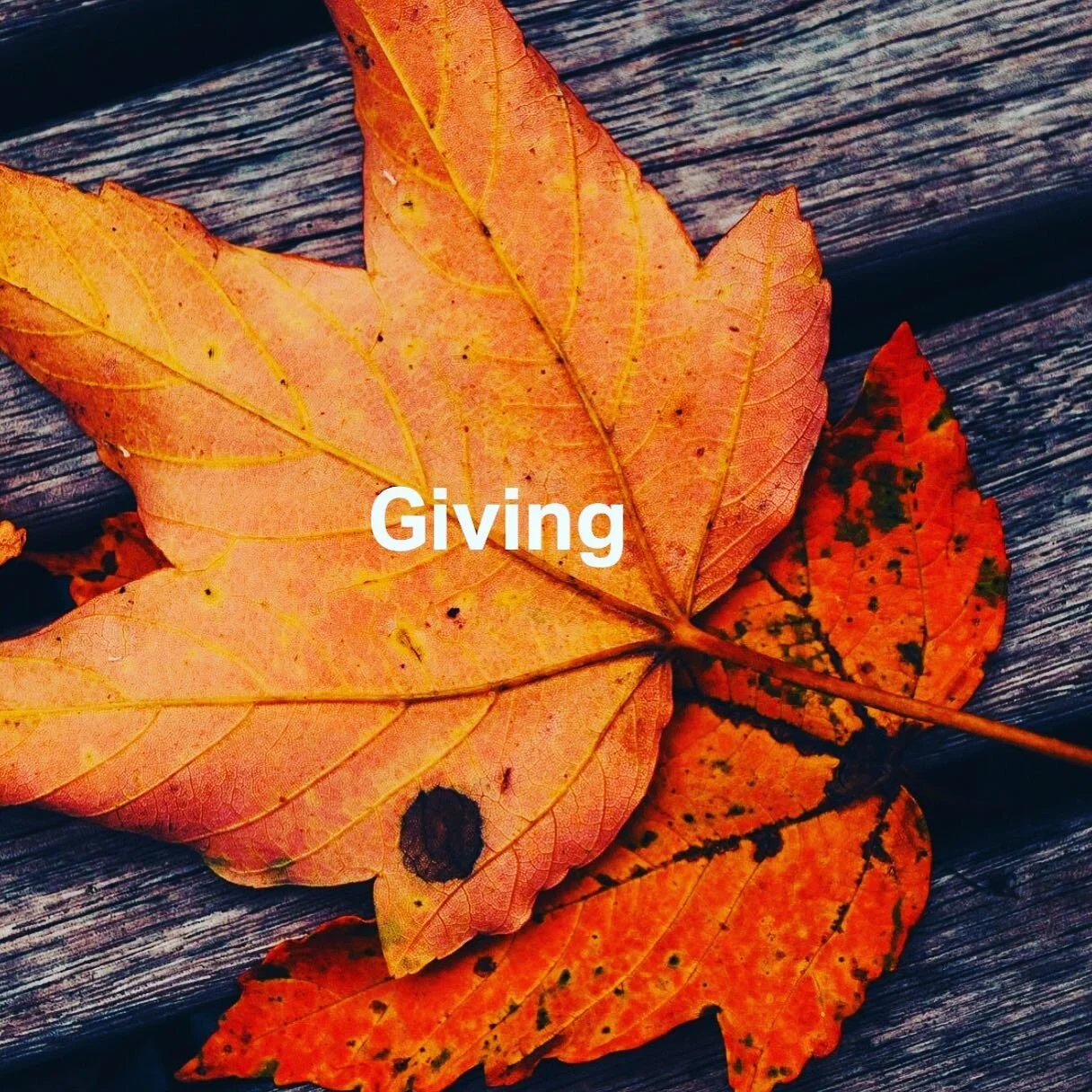 Donation Classes via Zoom. Attend for free. Donate if you can. Link in bio #giving #Thankful #VirtualWorkOut #georgetowndc #onlineworkout