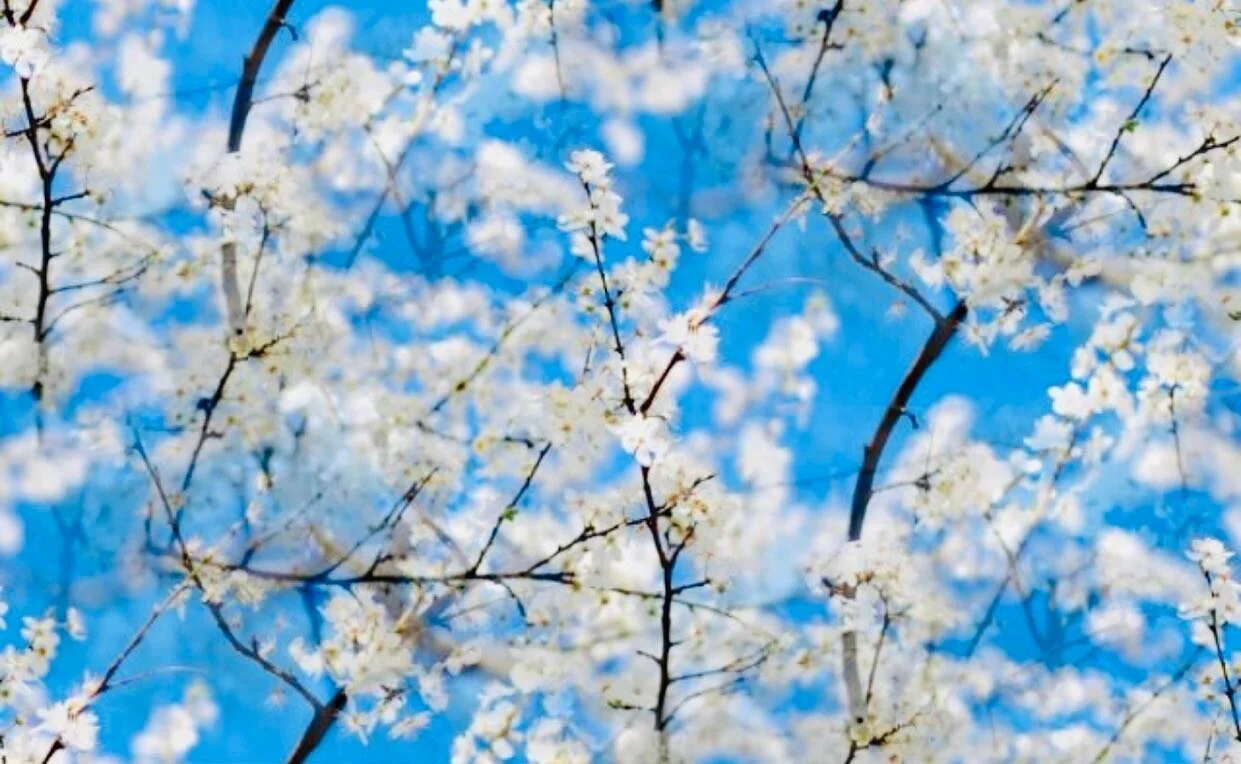 Almost Spring! Feels so good to be outside! #OutdoorAdventures #Outdoors #outdoorworkout #officialgeorgetowndc