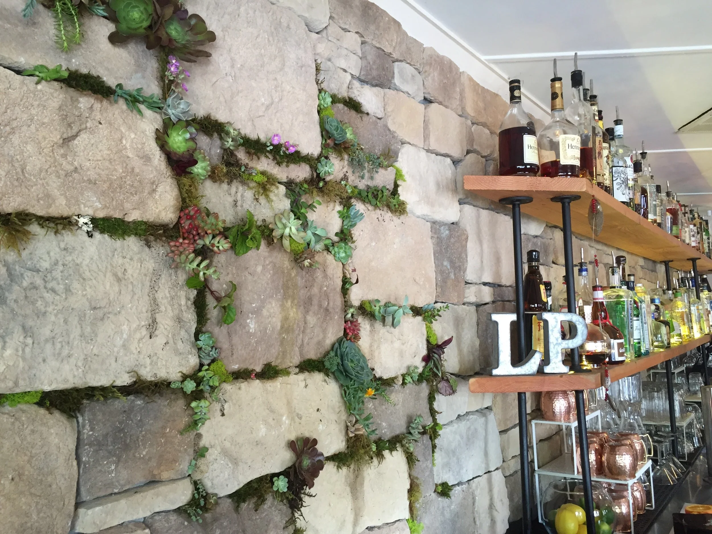 Succulent Wall And Bar.jpg