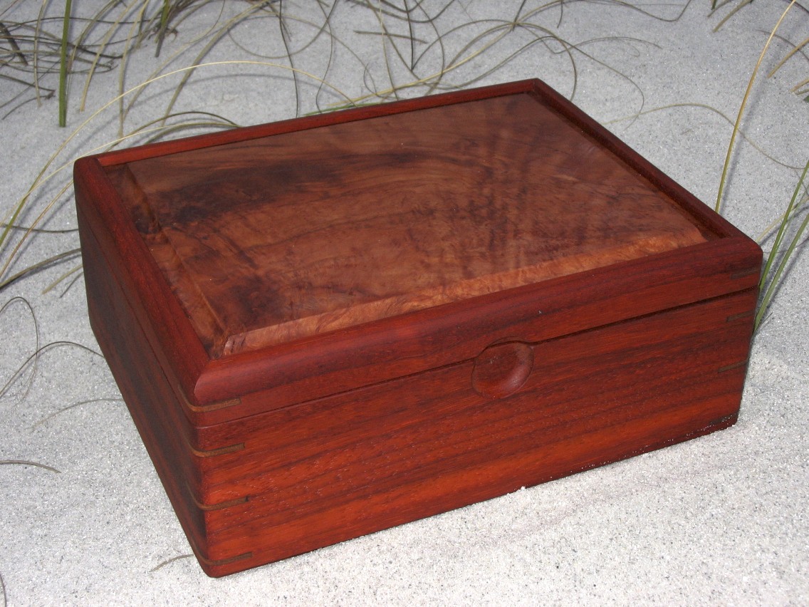 SSD Portfolio- image 5.jpg