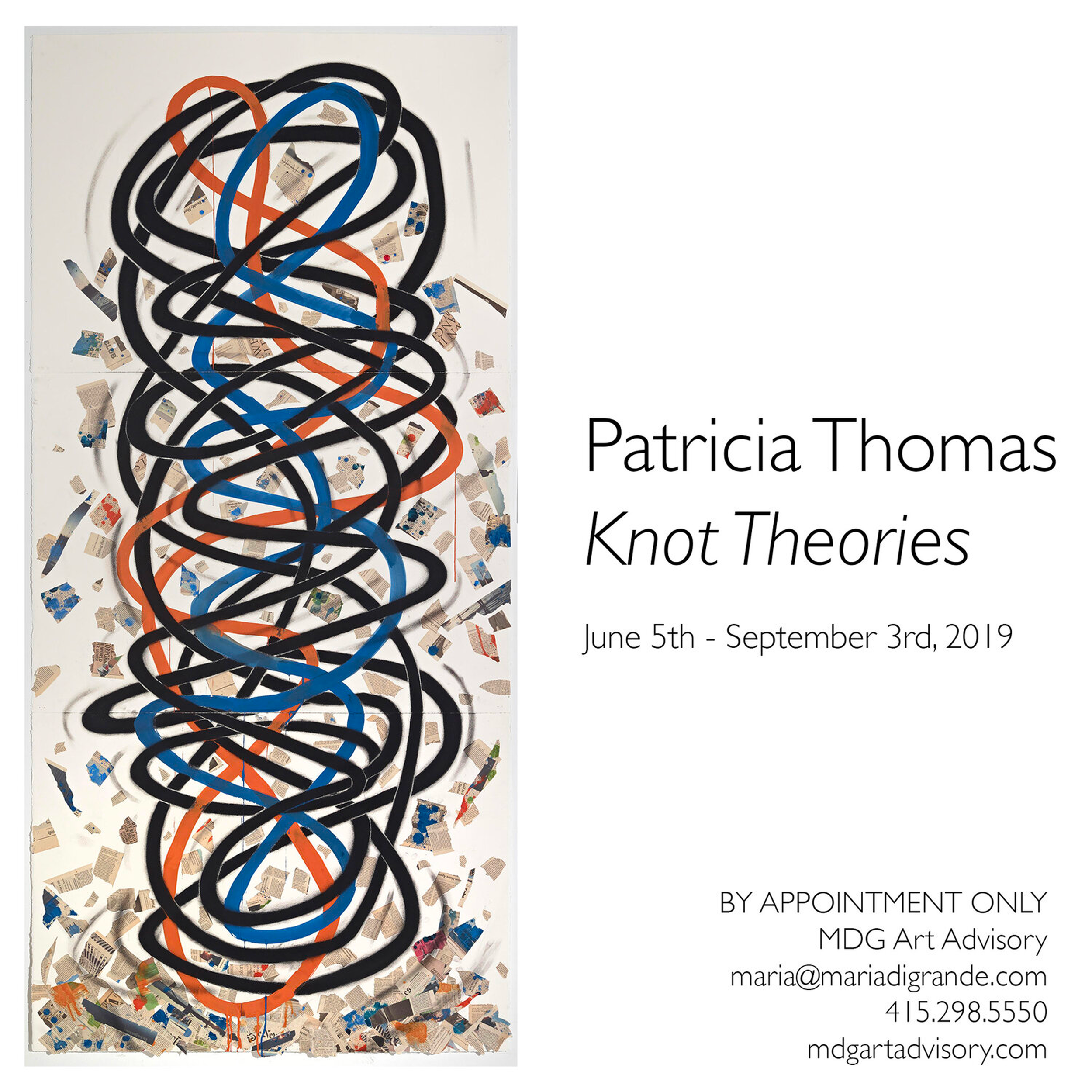 Knot Theories is a solo exhibition by artist Patricia Thomas curated by MDG Art Advisory