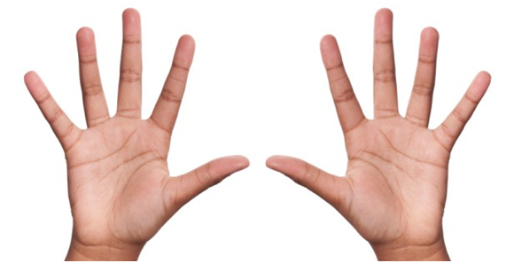 hands.png