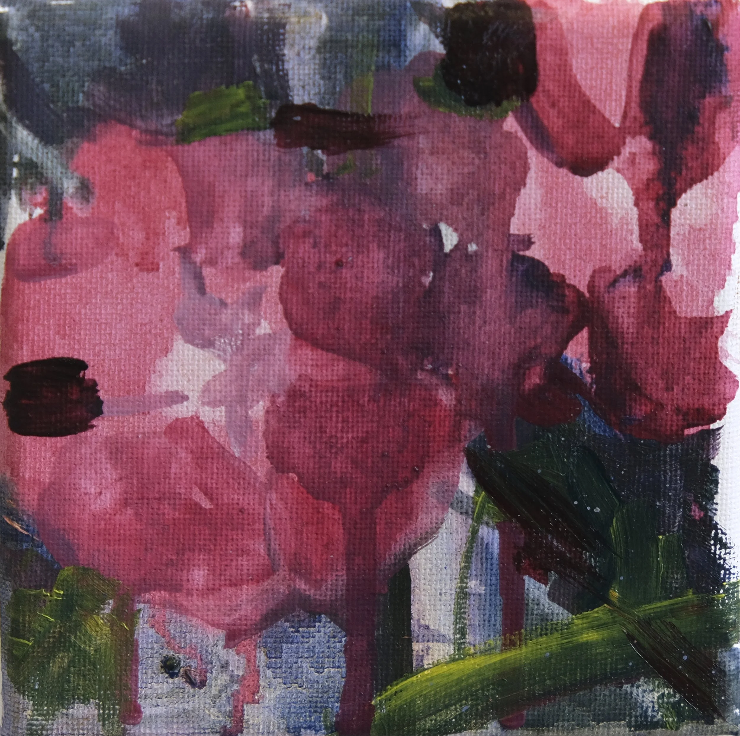 SIRI Flowers etc~2.JPG