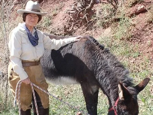 Northglenn Senior Center