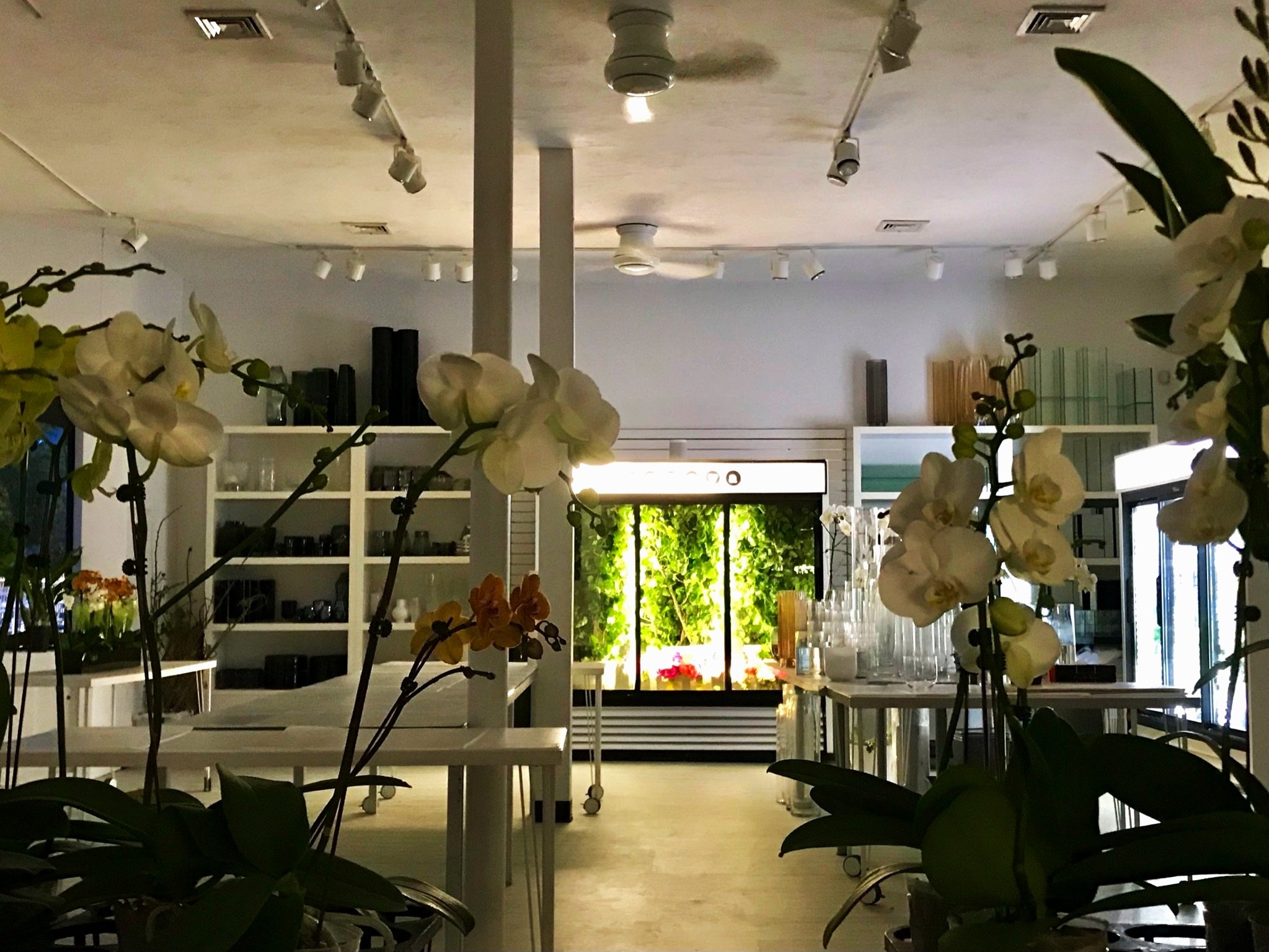 Hanaya Floral Design - Production Space