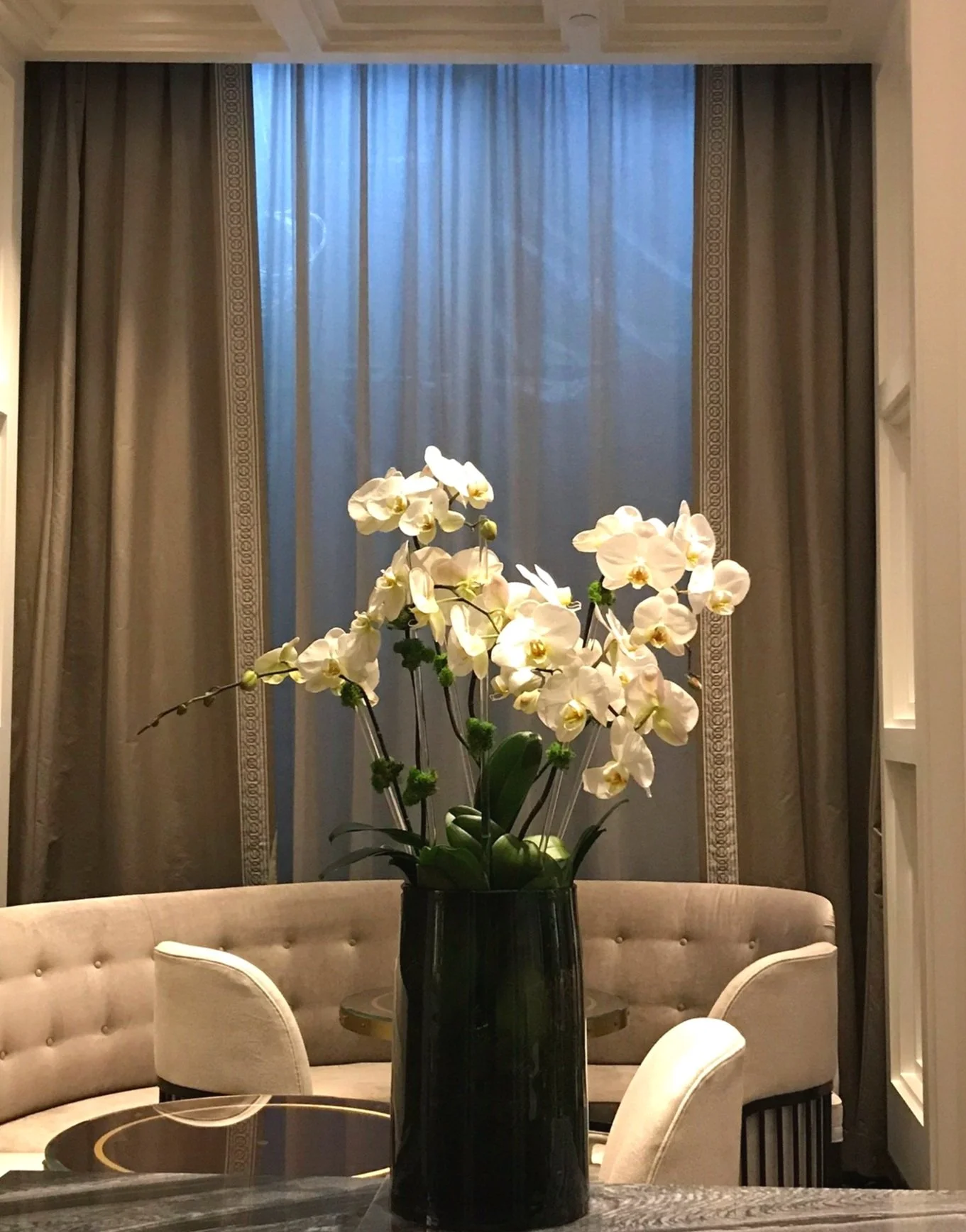 orchid-3.JPEG