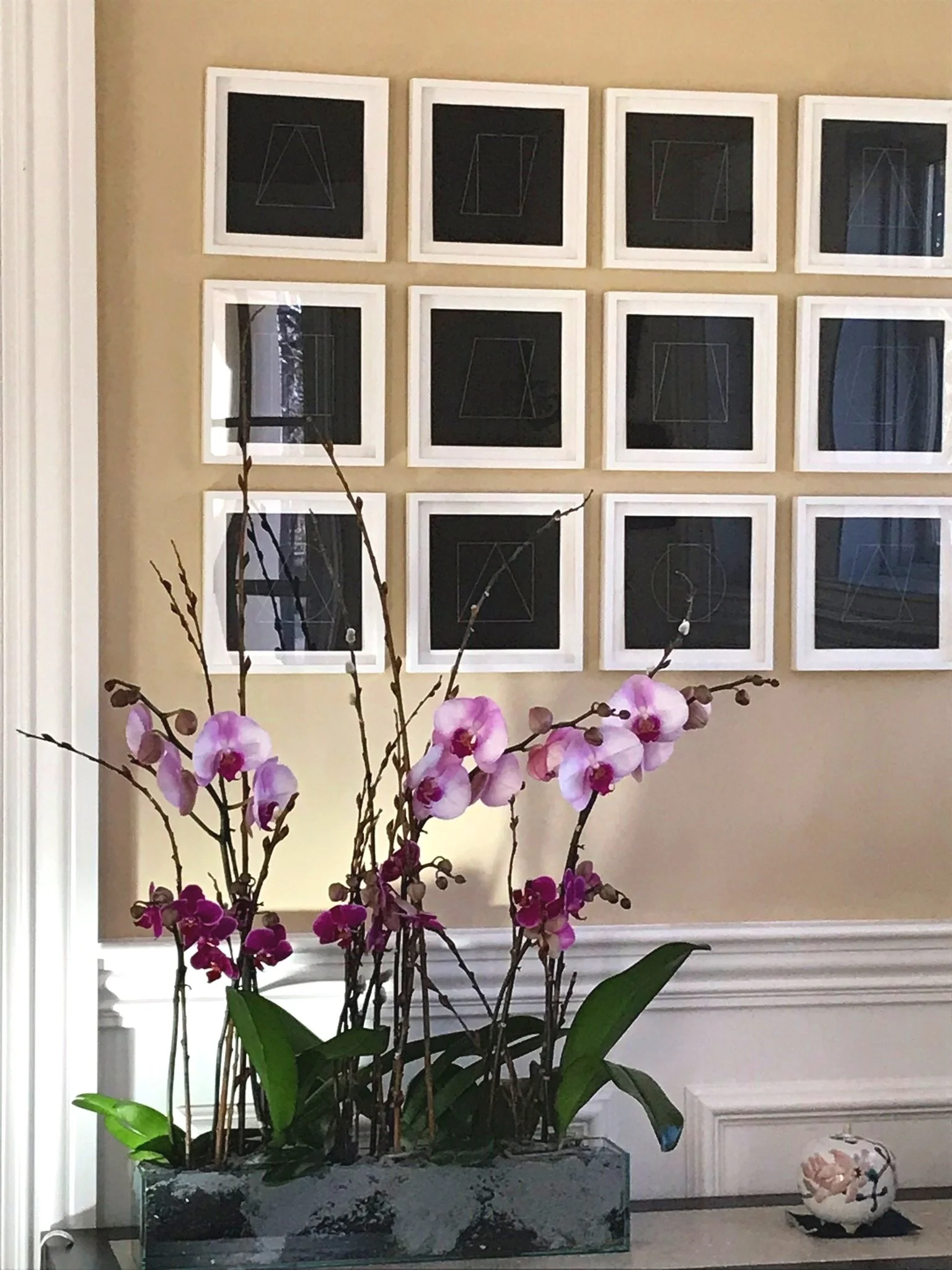 orchid-2.jpeg
