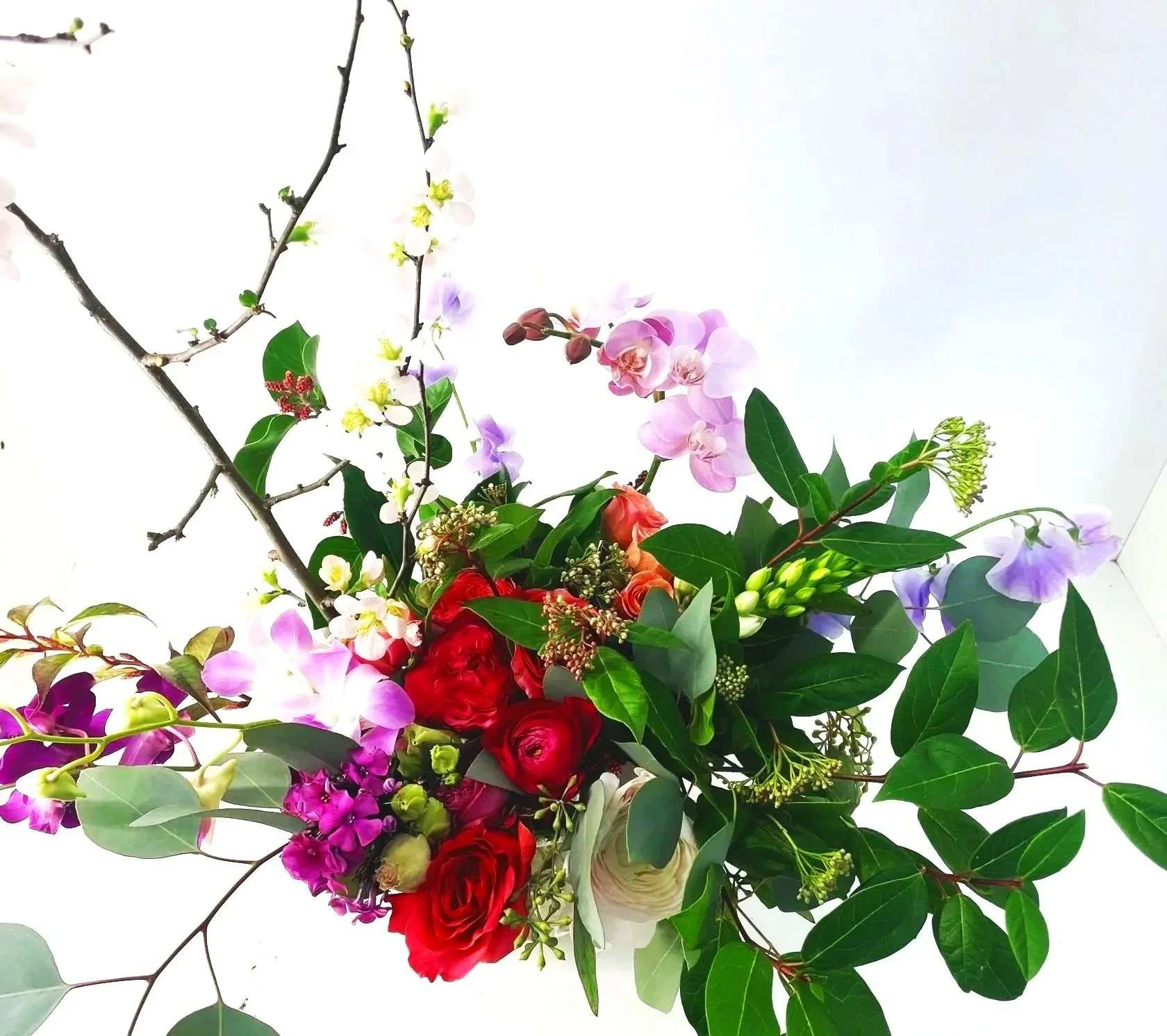 Katachi — Modern Form