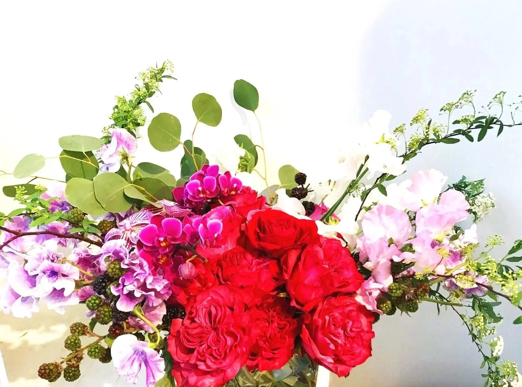 Miyabi — Refined Elegance